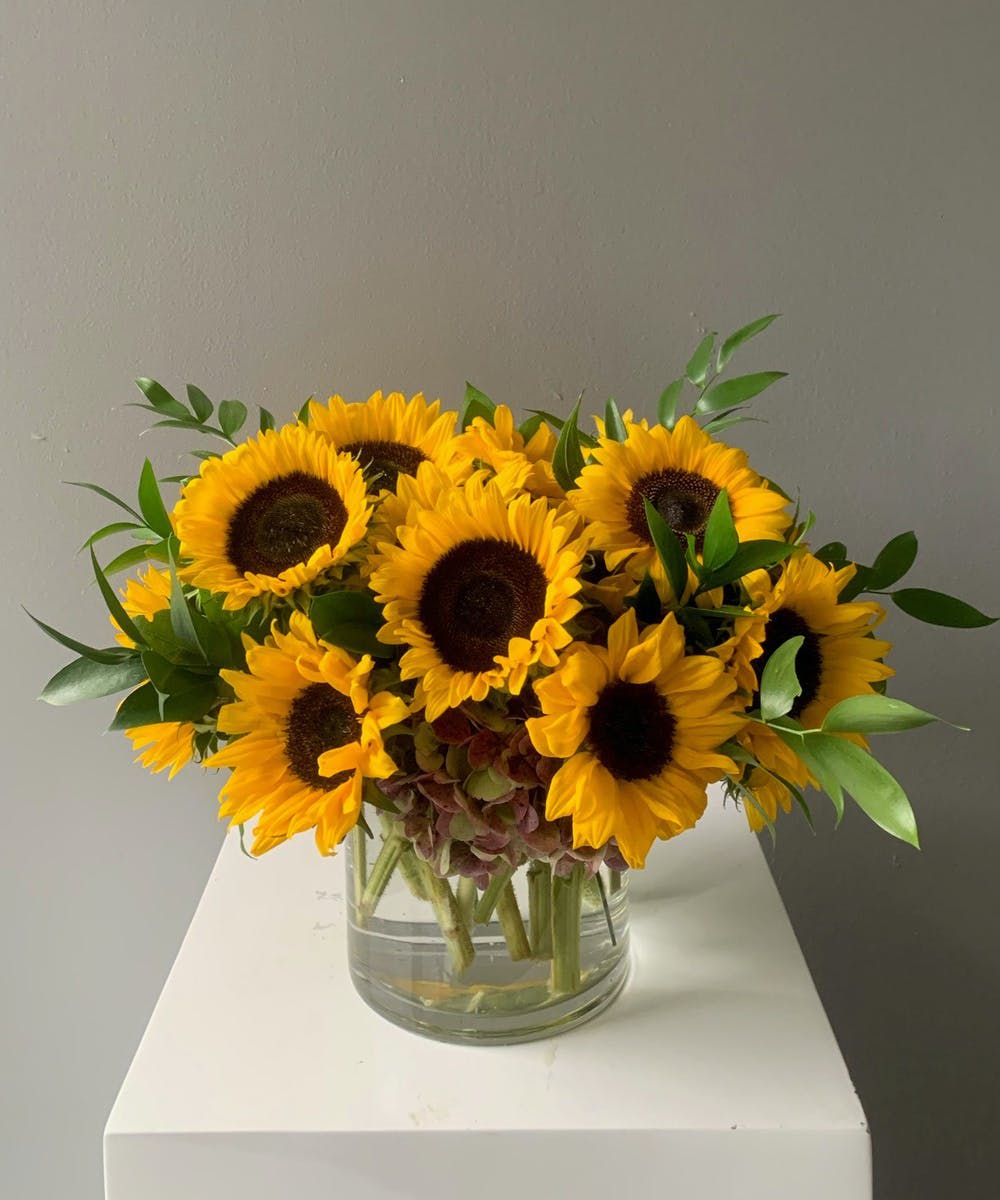 Clear vase of all sunflowers and greens! Clear vase of all sunflowers and greens! - Sunflowers and greens make this arrangement fabulous! Clear vase, order 24/7 Delivery Mon-Fri 9-3