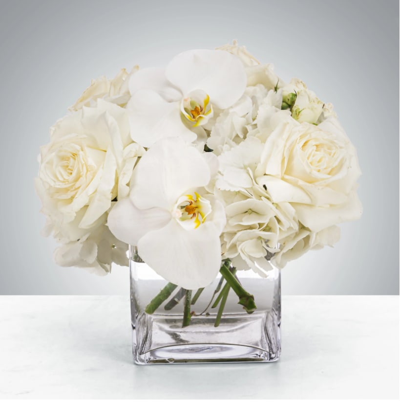 White Linen by Pretty in Petals White Linen by Pretty in Petals - This petite all-white arrangement featuring hydrangea and orchids is the perfect all-occasion gift. Send it for any holiday, event, or a joyful occasion. Approximate Dimensions: 8"D x 8"H