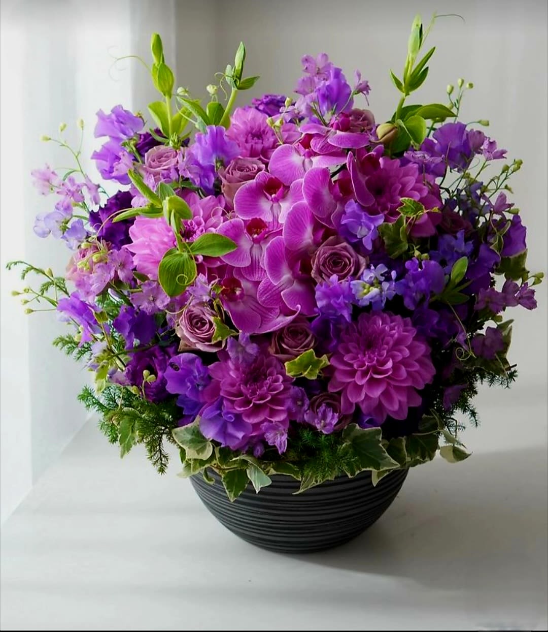 Many Shades of Purple by Pretty in Petals Many Shades of Purple by Pretty in Petals - House warming plant