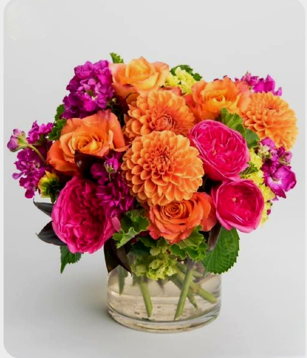Snug by Pretty in Petals Snug by Pretty in Petals - Any Occasion