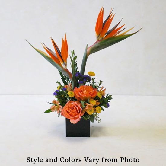 Sugar Sand  - Bring a little bit of the tropics in your home, or share it with a loved one! This combination of vibrant tropical flowers is an instant crowd pleaser. Perfect for the Beach lover in your life.