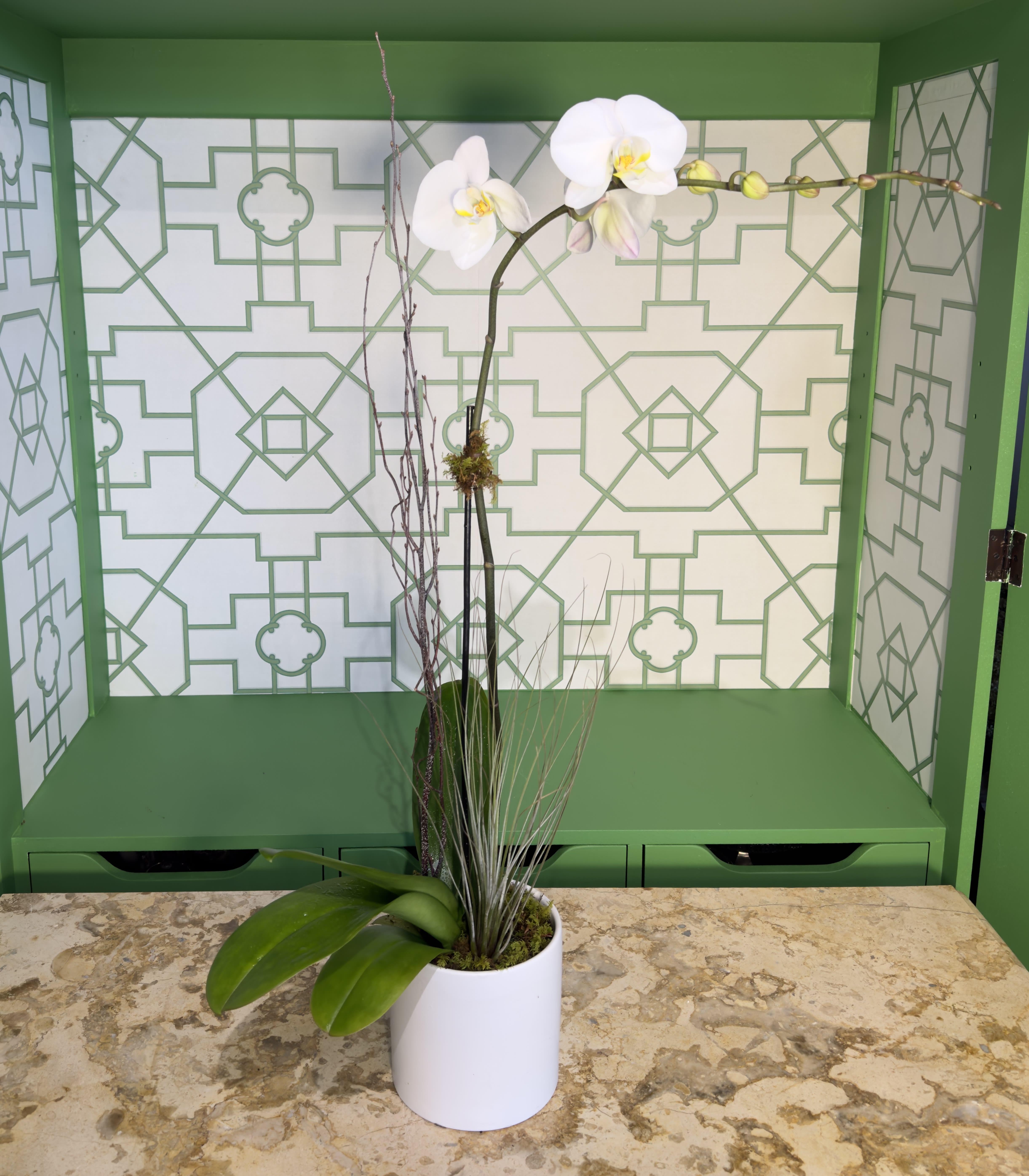 Single White Phalaenopsis Orchid Plant - Add a touch of sophistication to any space with this stunning single Phalaenopsis orchid, thoughtfully arranged in an elegant ceramic container. This exquisite plant is adorned with sheet moss, a delicate air plant, and natural curly willow, creating a harmonious blend of textures and natural beauty. The clean lines of the ceramic container complement the graceful orchid, making this arrangement a perfect addition to your home, office, or as a thoughtful gift.  Please note: Orchid color and container may vary based on availability, ensuring each piece is one of a kind.  Orchid Care Instructions: To keep your Phalaenopsis orchids looking their best, water them moderately every other week using a spray bottle. Dampening the soil is sufficient—be sure not to overwater. Place your orchids in a spot with bright, indirect light, and avoid direct sunlight or exposure to air conditioning. With proper care, your orchids will continue to bloom and add beauty to your space for a long time.