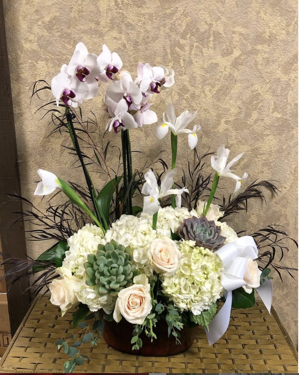 Double Phalaenopsis Orchid Plant with Fresh Cut Flowers Large Double Phalaenopsis Orchid Plant with Fresh Cut Flowers Large - Beautiful Two-Stem Phalaenopsis Orchid Plants with fresh cut, all white, Iris, Hydrangeas, Roses, and Succulents in a wooden-like planter. Perfect for Sympathies, Thank you, Get well, and Just because. Availability: All year round Substitute Available: Yes Design View: Front Facing View