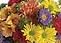 DESIGNERS CHOICE XL - DESIGNERS CHOICE OF FRESH SEASONAL FLOWERS