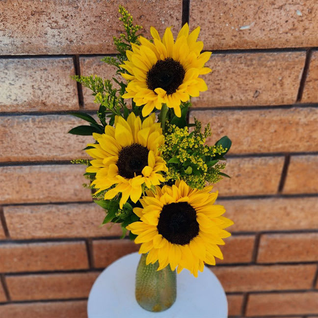 Sunshine in a Vase - Sunshine in a Vase – Fresh Sunflower Bouquet  Bring warmth and joy into any space with this cheerful vase of radiant sunflowers, designed to brighten desktops, bedside tables, and any corner of the home or office. Known as the “happy flower,” sunflowers symbolize positivity, strength, and admiration, making this arrangement a thoughtful gift for birthdays, get-well wishes, congratulations, or simply to bring a smile to someone special.  Handcrafted by our expert San Diego florists, each bouquet is arranged in a clear glass vase with fresh garden greenery and seasonal filler for a naturally beautiful touch.  • Standard – 3 bright sunflowers with lush greens and filler in a glass vase (approx. 6” W x 15” H)  • Deluxe – 6 vibrant sunflowers with added fullness and seasonal accents in a glass vase  • Premium – 12 stunning sunflowers, abundant greenery, and filler in a larger vase for a striking display  This sunflower arrangement is perfect for same-day flower delivery in San Diego, making it easy to send happiness across town to loved ones, friends, or colleagues.  Care Instructions: To keep your sunflowers fresh and glowing, place the arrangement in a cool location away from direct sunlight, heating or cooling vents, and electronics. Refill with clean water daily, replace water every 2–3 days, and trim stems at an angle with a sharp cut for maximum vase life.  Bright, bold, and bursting with cheer, this sunflower bouquet is the perfect way to share sunshine in San Diego.