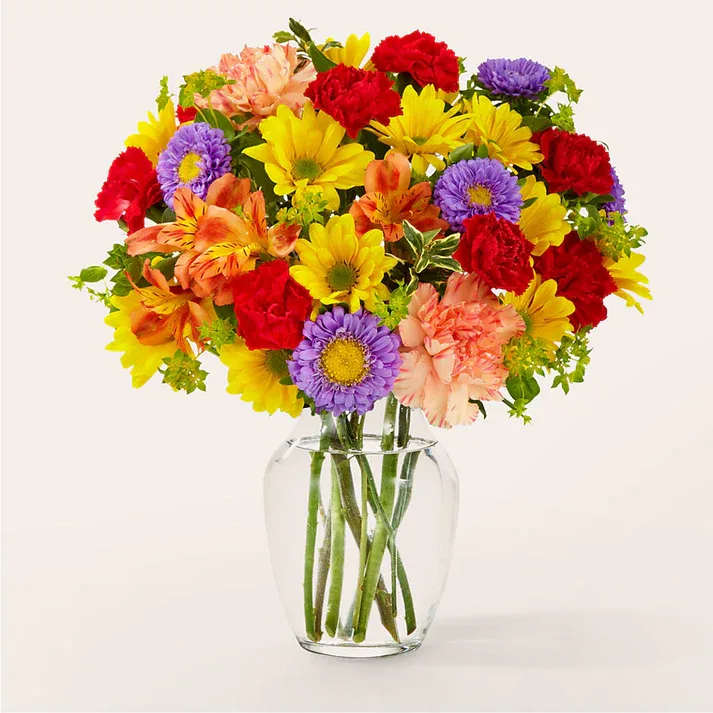 Oh my Bouquet - A colorful spectrum of carnations, daisies and alstroemeria make for a gorgeous way to spread joy any day. Details Designed by florists, ready to display. For long–lasting blooms, replace the water daily. We suggest trimming the stems every couple days. Pet Safety Precautions: This bouquet or plant may include flowers and foliage that are known to be toxic to pets. To keep them safe, be sure to keep this arrangement out of your pet's reach.