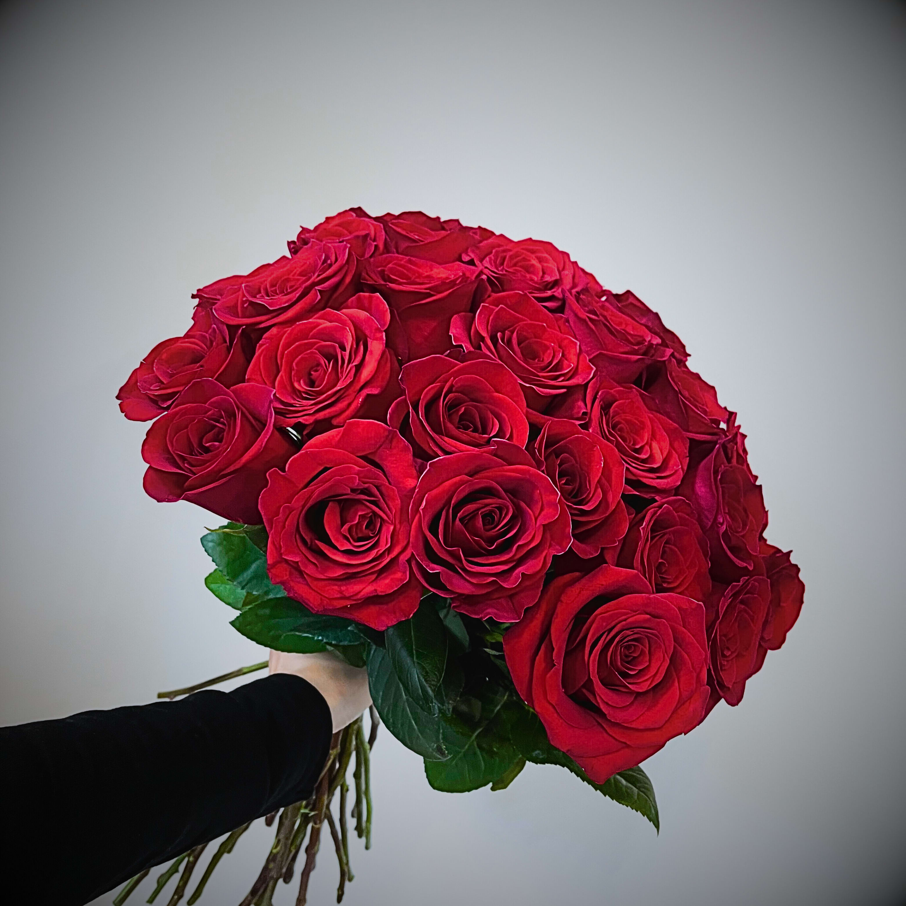 Bunch of Red Roses Hand-Tied with Ribbon (Not Wrapped) - An elegant bunch of vibrant red roses, hand-tied with a simple yet sophisticated ribbon. This bouquet features a beautiful collection of fresh red roses, creating a striking display of love and passion. The ribbon adds a touch of grace, making it perfect for any romantic occasion, special celebration, or as a timeless gesture of affection. Simple, yet stunning.