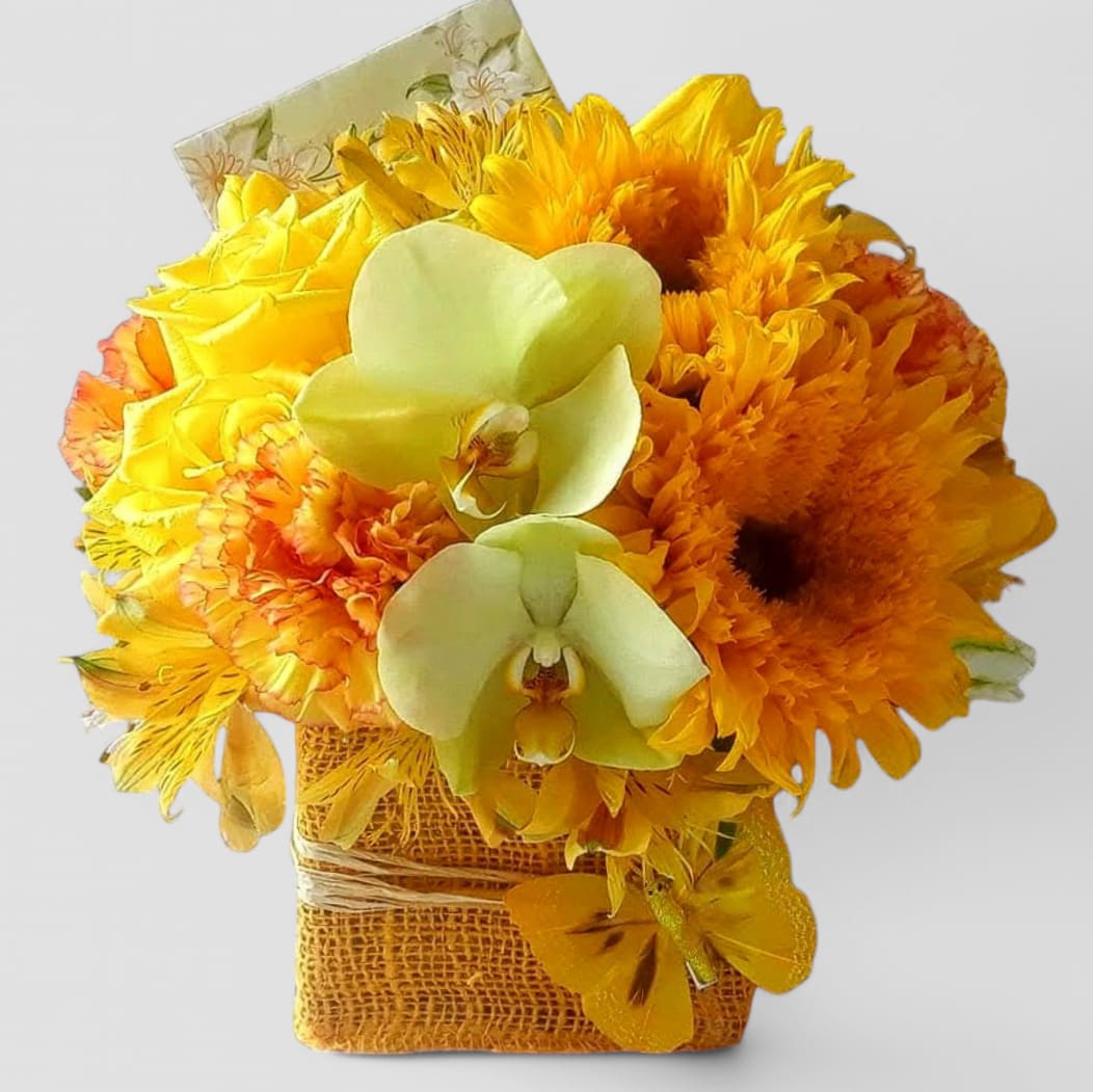 Get Well Real Soon Bouquet Designer's Choice - Send this cheerful sunny bouquet today to let them know how much you care with it's cheery yellow blossoms of the day roses daisies and more arranged in a modern glass cube vase. Perfect to send for wishing them a speedy recovery. Always made extra special and unique each time. Send them well wishes.