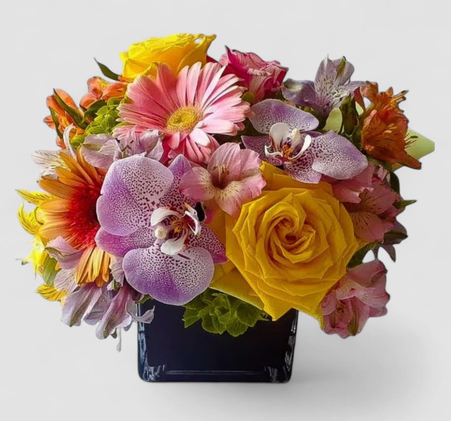 Pastels In Black Designer's Choice - Send this beautiful pastel blossoms beauty today to make them smile with it's lovely mixed pastel blossoms of that day roses orchids and more arranged in a modern black glass vase. Stunning and perfect for ever occasion. Always made extra special and unique each time. Send them happiness.