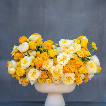 Sunset -  This cheerful arrangement captures the golden hour with a generous mix of yellow, orange and cream roses. The flowers are densely packed to create a full, rounded bouquet that spills beautifully over the edges of the white pedestal vase. The warm orange tones range from bright tangerine to deeper amber, while cream roses add softness and balance.  The compact, dome-shaped design makes this perfect for dining tables, entryways, or anywhere you want to add a pop of warm color. The classic white footed vase gives it an elegant foundation while letting the vibrant blooms take center stage.  With its sunny disposition and rich color palette, this arrangement brings the warmth of a perfect sunset indoors, making it ideal for celebrations, thank you gifts, or simply brightening someone's day.   Dimensions: - Vase: 6&quot; diameter × 5&quot; height - Overall arrangement: 11&quot; height × 14&quot; width  Perfect for fall celebrations, thank you gifts, or adding warmth to any space.