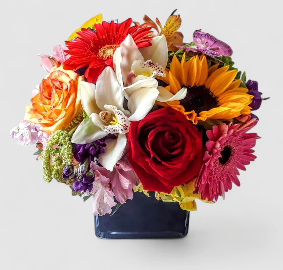 Vibrant Blossom Beauty Designer's Choice Vibrant Blossom Beauty Designer's Choice - Vibrant blossoms of that day roses orchids and more arranged in a black modern glass vase. Beautiful and perfect to send for every occasion to show them how much you care. All bouquets are always made extra special and unique each and every time. Send happiness.