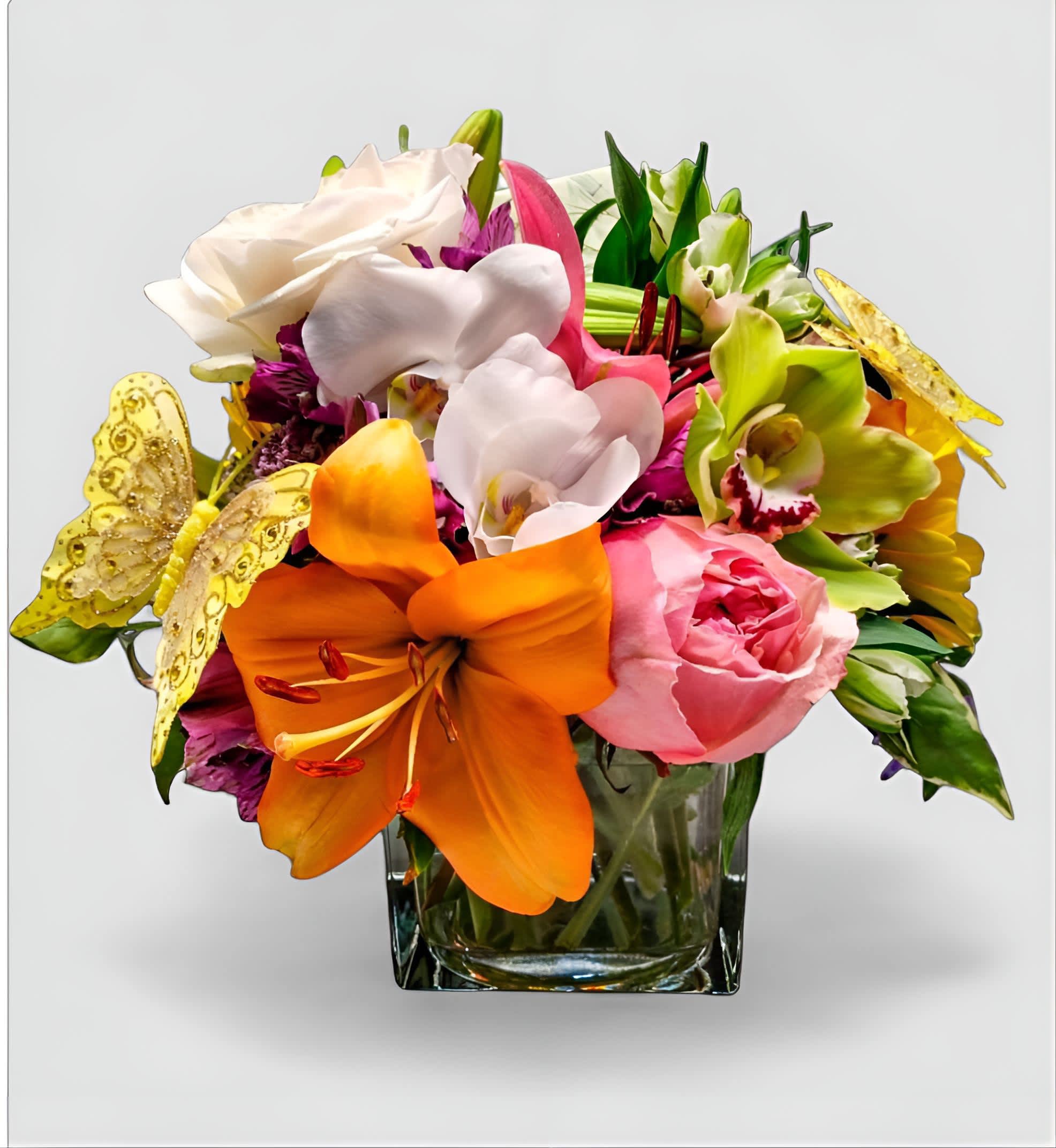 All Occasions Bouquet Designer's Choice All Occasions Bouquet Designer's Choice - Designer's choice; made beautifully from my colorful blossoms of the day roses orchids lilies and more arranged in a modern glass cube style vase adorned with a sweet butterfly. Cheerful and perfect to send today to make them smile. All of my bouquets are always made extra special and unique each time. Send them happiness. Send beautiful.