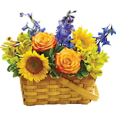Blooming Basket Arrangement™ - &quot;DESIGN COUNCIL EXCLUSIVE When asked about the inspiration behind his unique creation, Wendell Cook of 1-800-Flowers|Nancy’s in Gresham, Oregon said: “Blue delphinium with sunflowers is among my favorite combinations, and alstroemeria is probably my favorite flower because of its texture and the variety of colors it comes in.” Adding to the arrangement’s inviting appearance is a woven basket, providing a charming focal point. Arrangement of sunflowers, roses, yellow alstroemeria, red hypericum, variegated pittosporum and dark blue delphinium Arrives in a splitwood handled basket with liner; measures 9.5&quot;&quot;L Large arrangement measures approximately 16&quot;&quot;H x 18&quot;&quot;L Medium arrangement measures approximately 15&quot;&quot;H x 17&quot;&quot;L Small arrangement measures approximately 12&quot;&quot;H x 12&quot;&quot;L Our florists hand-design each arrangement, so colors, varieties, and container may vary due to local availability In March 2015, several of the floral industry’s most gifted designers, representing local flower shops across the country, gathered at the headquarters of 1-800-Flowers.com to explore new ideas and create exciting new products at the 2015 Spring/Summer Floral Design Council.&quot;
