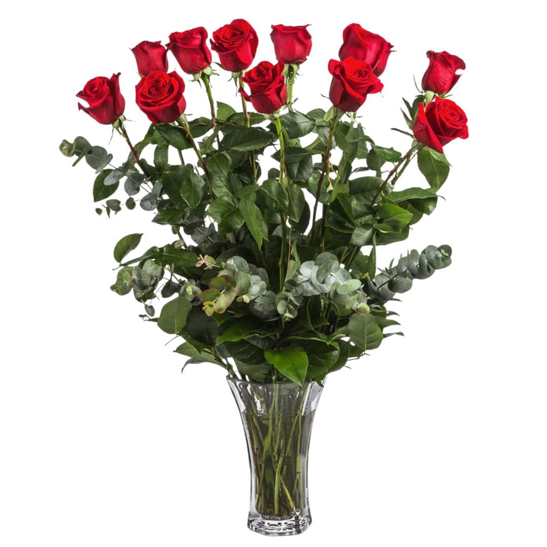 Dozen Long Stemmed Red Roses by BloomNation™ - These dozen red roses are the classic romantic gift! Perfect for Valentine's Day or an Anniversary. Paired with baby blue eucalyptus.   APPROXIMATE DIMENSIONS: 25&quot; H X 18&quot; W