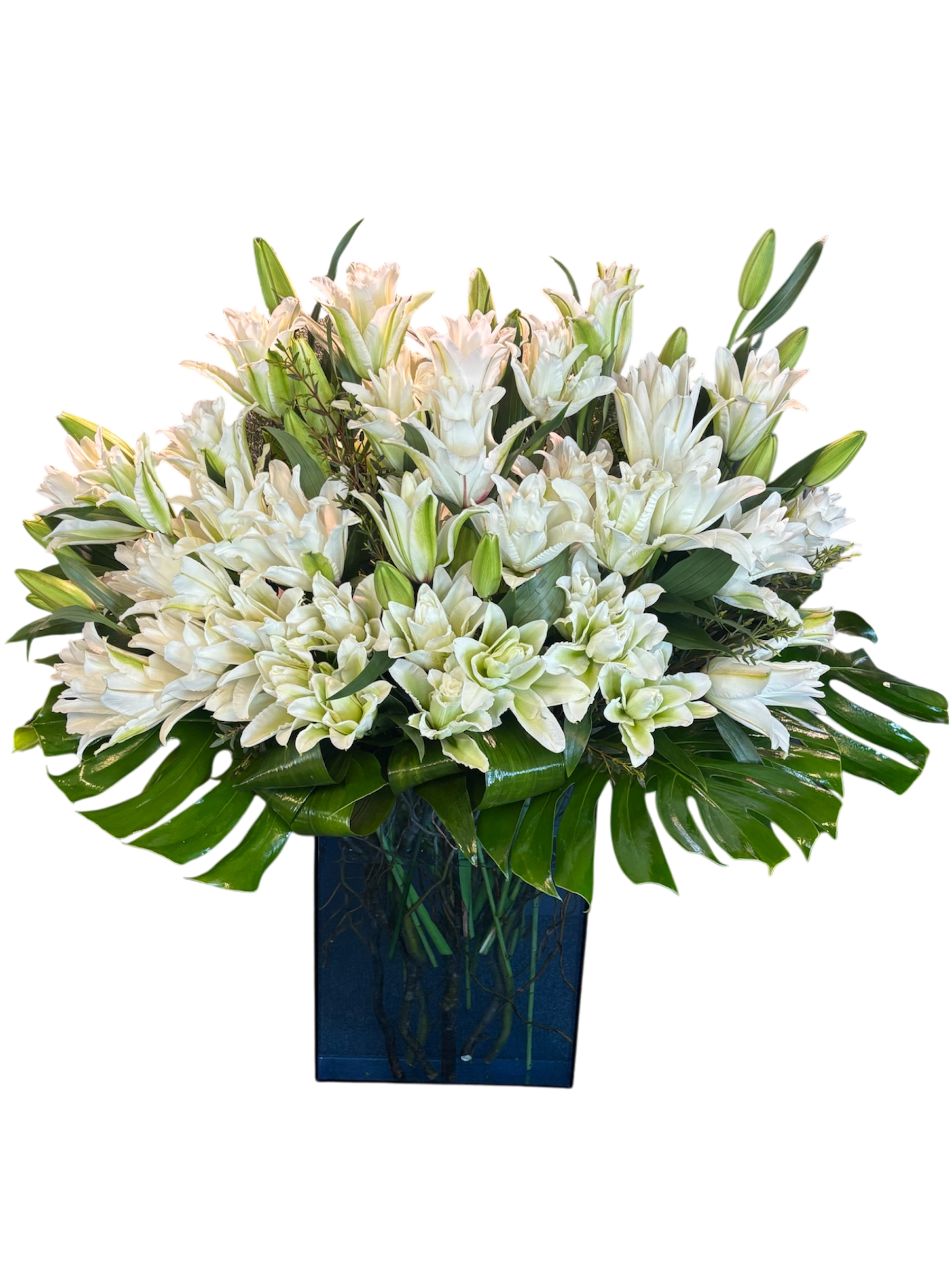 Haven of Peace - A graceful display of white double lilies is complemented by the lush textures of Lexus greenery, elegantly arranged in a striking blue tall rectangular glass vase. This sophisticated composition exudes timeless charm and serenity.