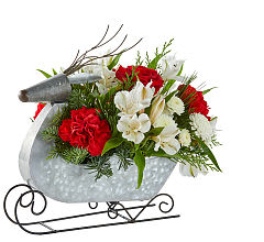 Sleigh Ride Bouquet - The  Sleigh Ride Bouquet, presented in the charming  Reindeer Sleigh container, is a delightful holiday arrangement that captures the season's magic. With a festive combination of red carnations, pristine white alstroemeria, and delicate white button poms, this bouquet embodies the classic colors of Christmas. The  Reindeer Sleigh container, shaped like a whimsical sleigh, adds an extra touch of holiday charm and can be cherished as a keepsake. Whether adorning your home or presented as a thoughtful gift, the  Sleigh Ride Bouquet is the perfect way to bring the joy of the holiday season to life, with its classic colors and enchanting presentation.  