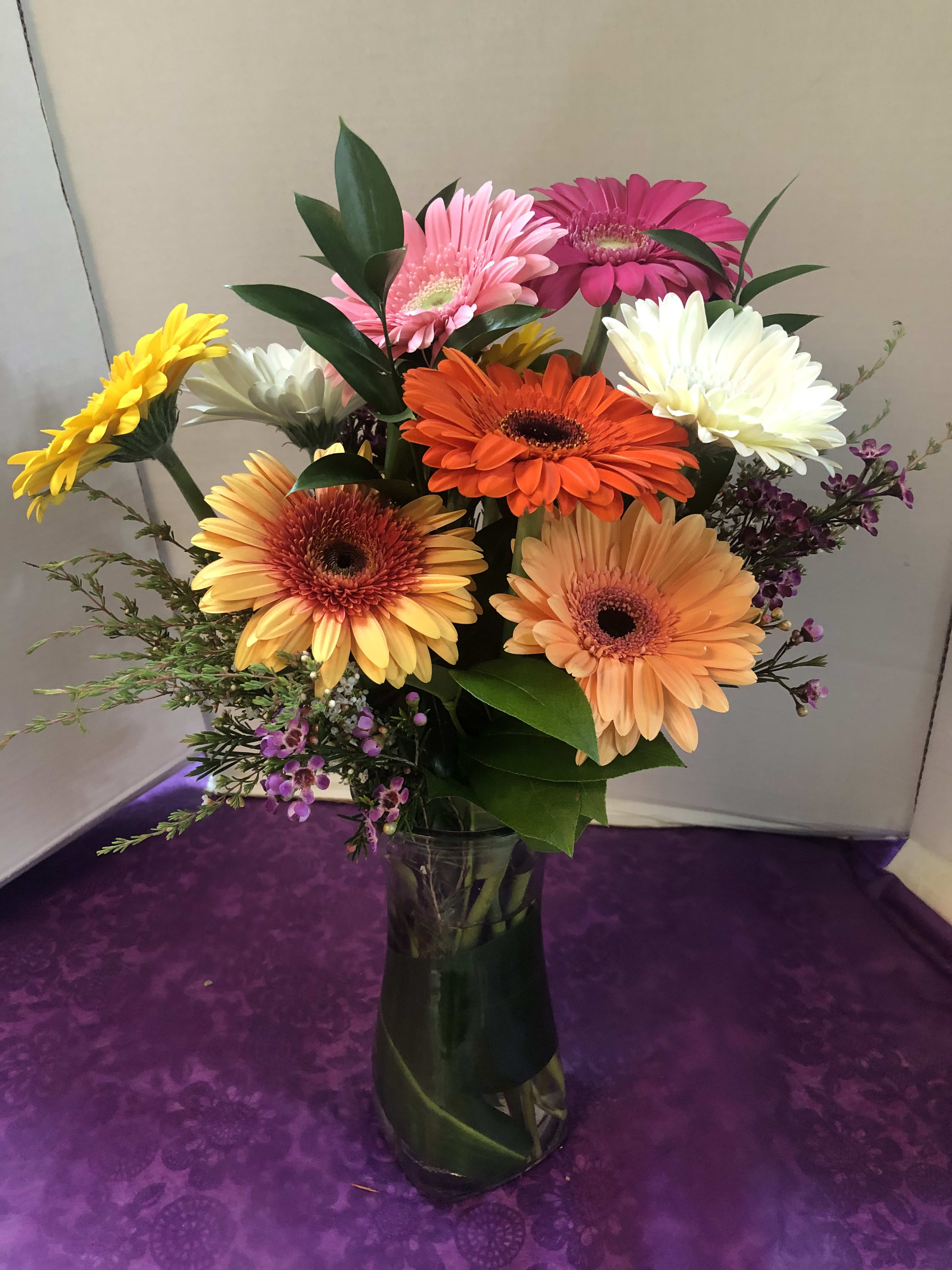 Summer Daisy Arrangement - Assorted Gerbera Daisies,  Wax Flowers, Fancy Greens