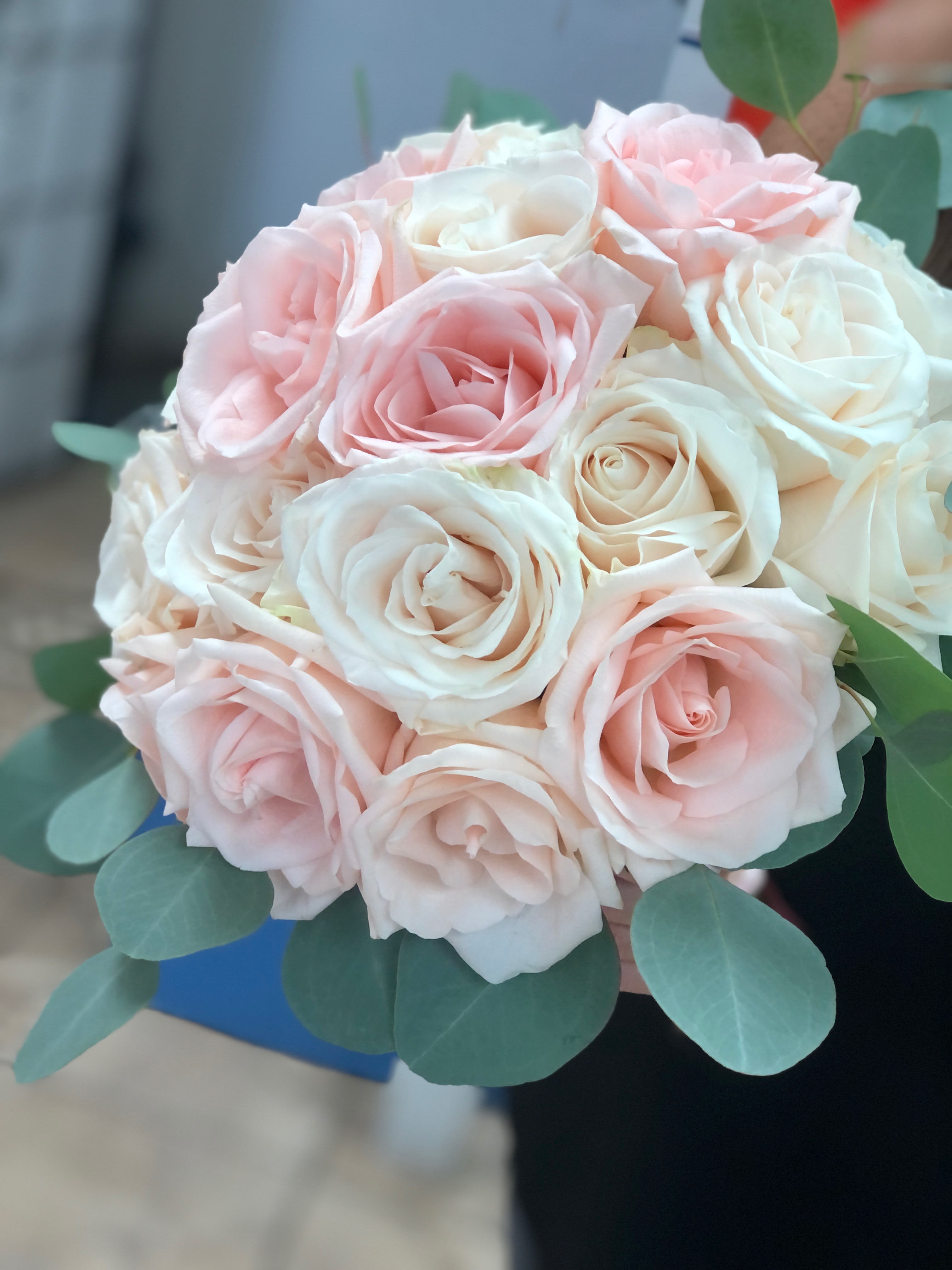 Blush and ivory rose bouquet - Creamy ivory and blush roses and silver dollar eucalyptus for your big wedding day