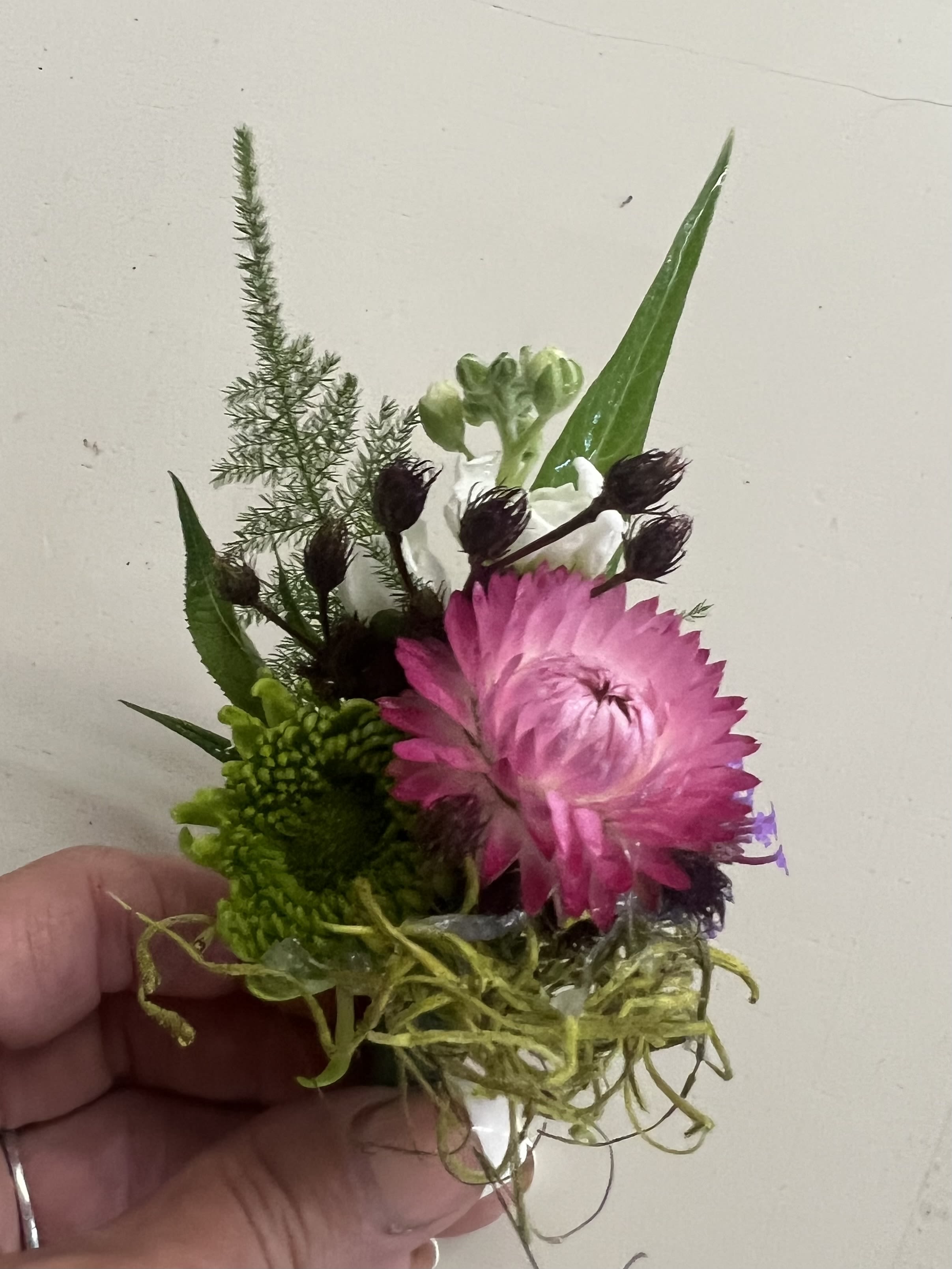 Succulent Boutonnière by BloomNation™ - Show your style with a succulent boutonnière that looks good on any colored suit. Good for prom, weddings and any formal event. 