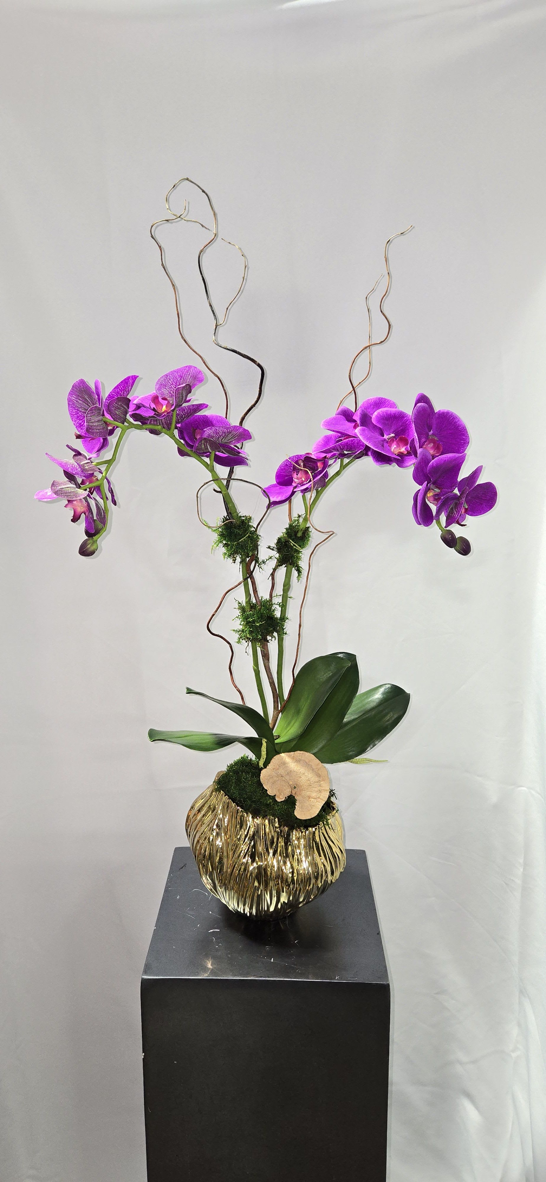 Permanent Beauty Permanent Beauty - Permanent purple double stem Phalaenopsis orchid designed in a stunning textured gold container. No watering or maintenance needed!