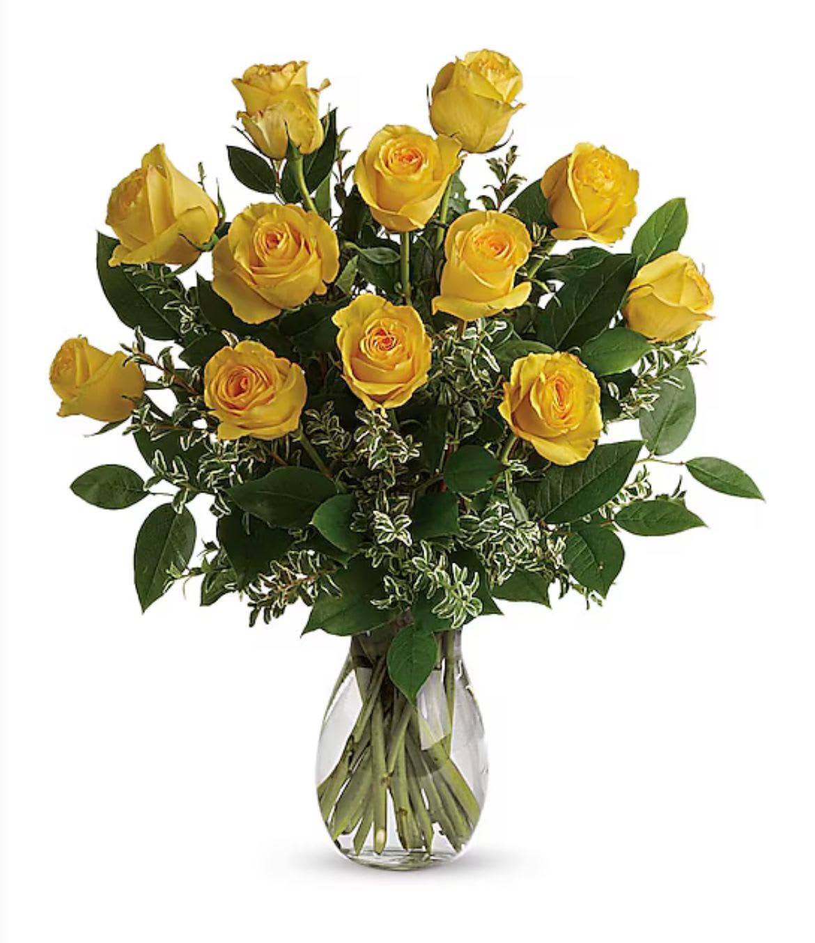 Say Yellow Bouquet - Radiant long-stem yellow roses accented with silver queen pittosporum, bringing a cheerful and timeless touch. Available in 12, 18, or 24 stems to brighten any occasion.