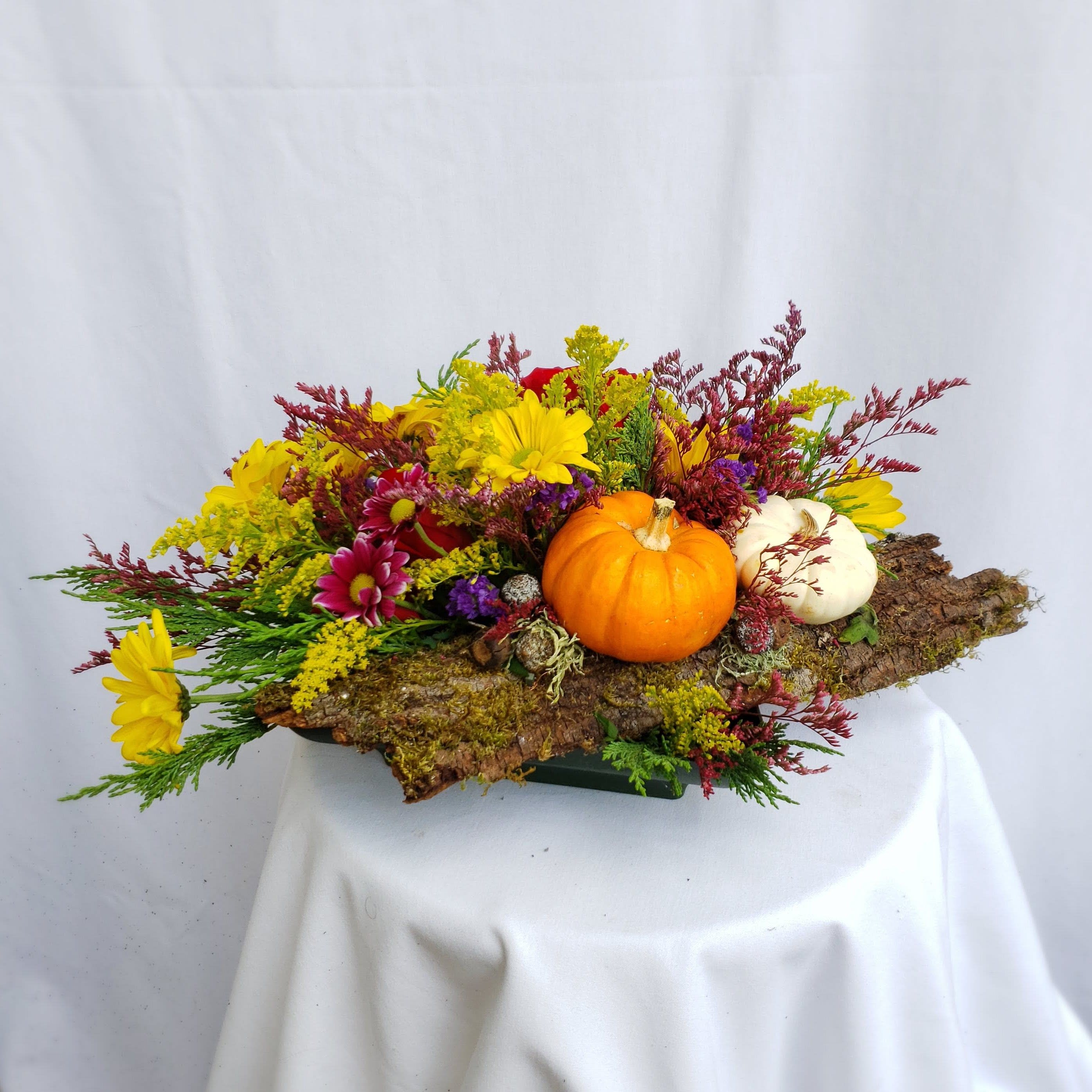 Thanksgiving Pumpkins Centerpiece - Experience the enchantment of autumn with our newest floral masterpiece: &quot;Pumpkin Spice.&quot; This arrangement is an absolute charmer, designed to capture the essence of the season. Each carefully chosen element brings warmth and vibrancy to any occasion.  At the heart of &quot;Pumpkin Spice&quot; are the rich red roses, which exude passion and love, and the sunny yellow daisies that radiate happiness. These blooms are thoughtfully complemented by the cheerful yellow solidago and the ethereal misty berries, adding an extra layer of charm to the arrangement. The vibrant purple daisies provide an unexpected burst of color, making &quot;Pumpkin Spice&quot; a true work of art.  What truly sets &quot;Pumpkin Spice&quot; apart is the inclusion of organic pumpkins, emblematic of the fall harvest season. These delightful gourds add a rustic touch to the arrangement, making it a perfect centerpiece for your Thanksgiving Dinner table. Alternatively, &quot;Pumpkin Spice&quot; serves as a heartfelt thank-you gesture for your gracious host, conveying your appreciation in the most delightful way.  With its warm, inviting colors and thoughtful design, &quot;Pumpkin Spice&quot; is a testament to the beauty of autumn. Whether you're celebrating a special occasion or simply want to brighten someone's day, our flower delivery in Olympia, WA ensures that &quot;Pumpkin Spice&quot; will bring joy and warmth wherever it goes. Order yours today and experience the magic of this extraordinary arrangement.