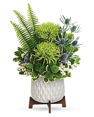 Teleflora's Style Statement Bouquet Teleflora's Style Statement Bouquet - Gorgeous green blooms and a mod, mid-century ceramic planter add up to a stunning style statement! Green spider chrysanthemums, green button spray chrysanthemums, white sinuata statice, and blue eryngium are arranged with sword fern and variegated pittosporum. Delivered in a Mid Mod Geometric Planter.