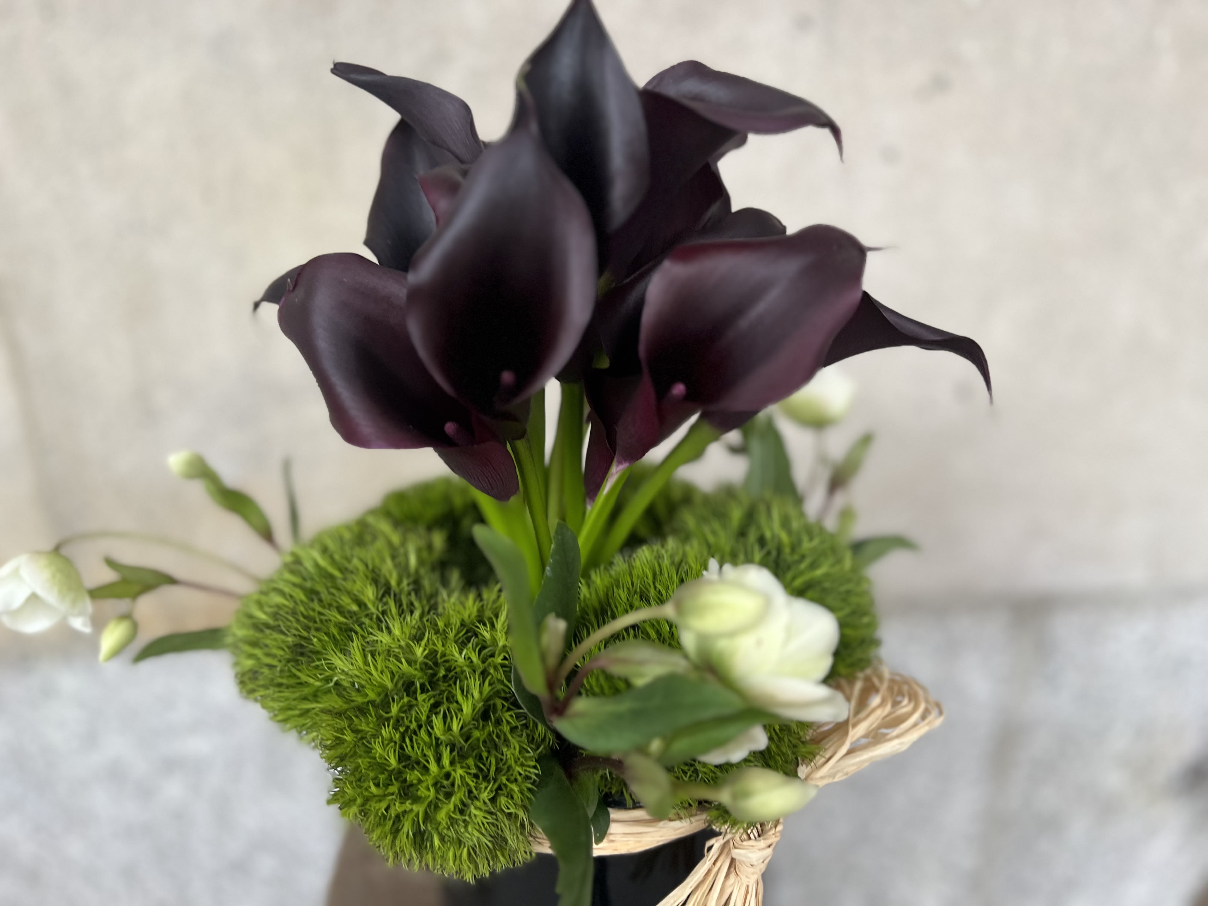 LOVEBIRDS #2 - Clean, Elegant eggplant color calla lily's  that are the Ultimate in Pure Modern Sophistication.    PICTURE SHOWN (STANDARD)