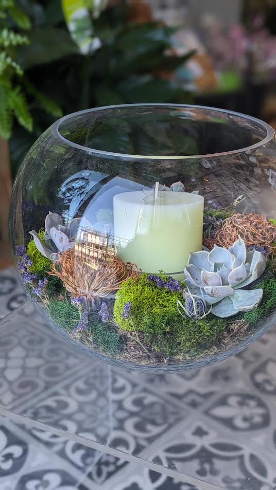 Candlelit Succulent Garden - Glass Bowl 12&quot; with a 3x6 pillar candle  Dried Flowers and assorted moss with 3 Succulents