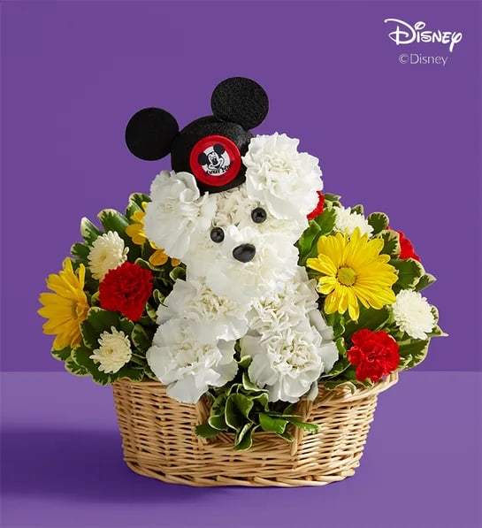 a-DOG-able Disney Mickey Mouse - Our signature flower pup is blooming from ear to ear! Part of our new Disney collection, it’s crafted from white carnations, with red, yellow and white flowers all around to match the colors of Mickey Mouse’s iconic pants. Complete with a genuine replication of the original 1950’s Mouseketeer hat, it’s a gift is full of charm and nostalgia for every Disney fan.