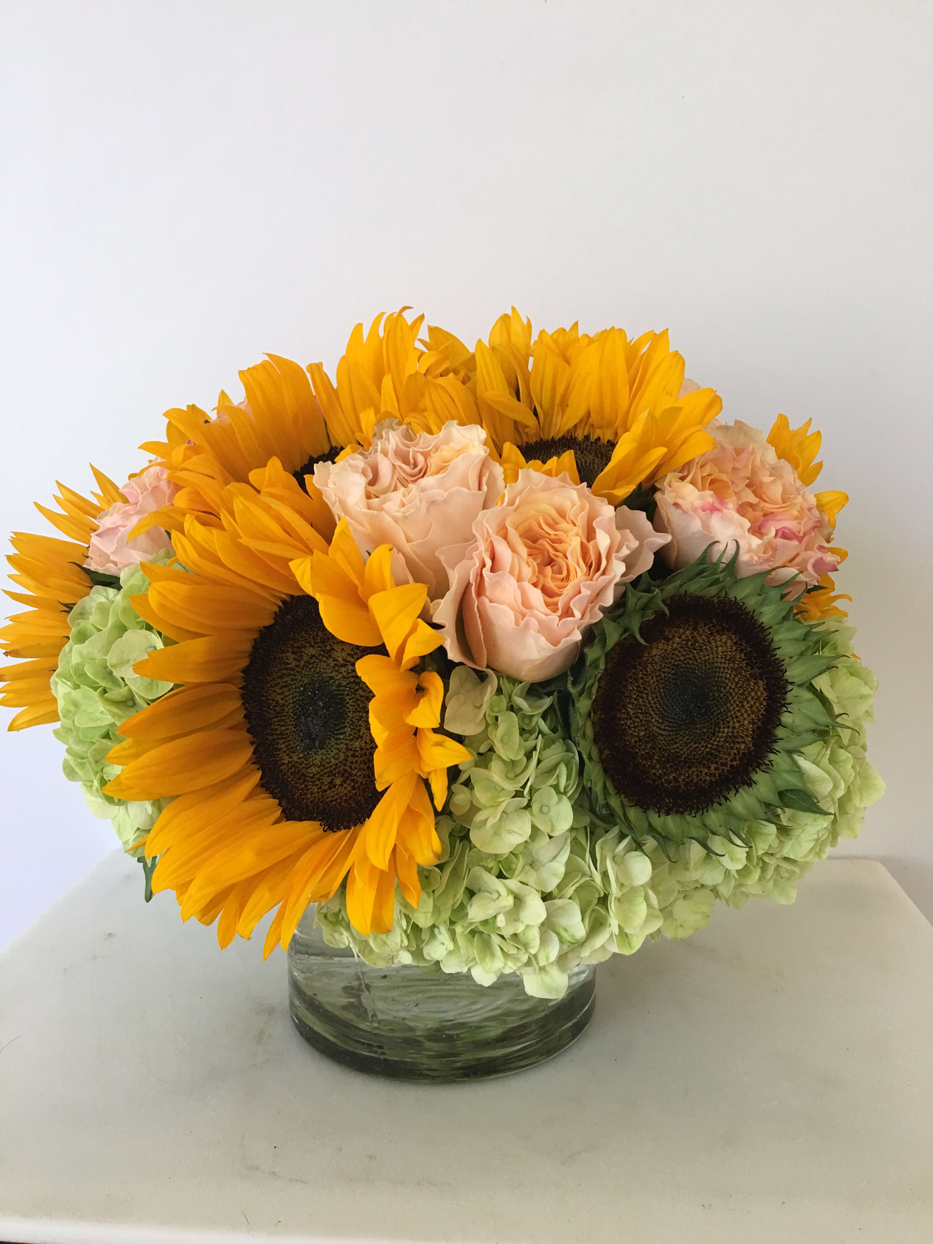 Rita's Sunshine - Modern compact and unique enhancing the power of sunflowers 