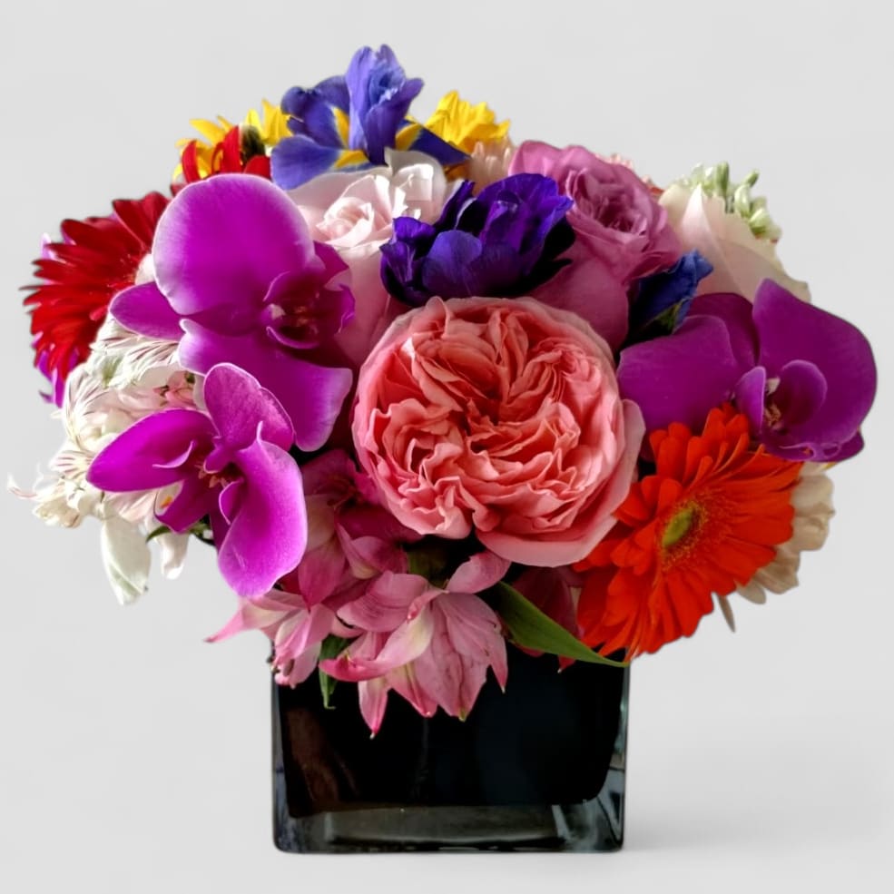 Vibrant Blossoms In Black Designer's Choice - Roses orchids and more arranged in a beautiful modern black glass cube style vase. Perfect to send today to show them how much you care. All of my bouquets are always made extra special and unique each and every time. Send them happiness.