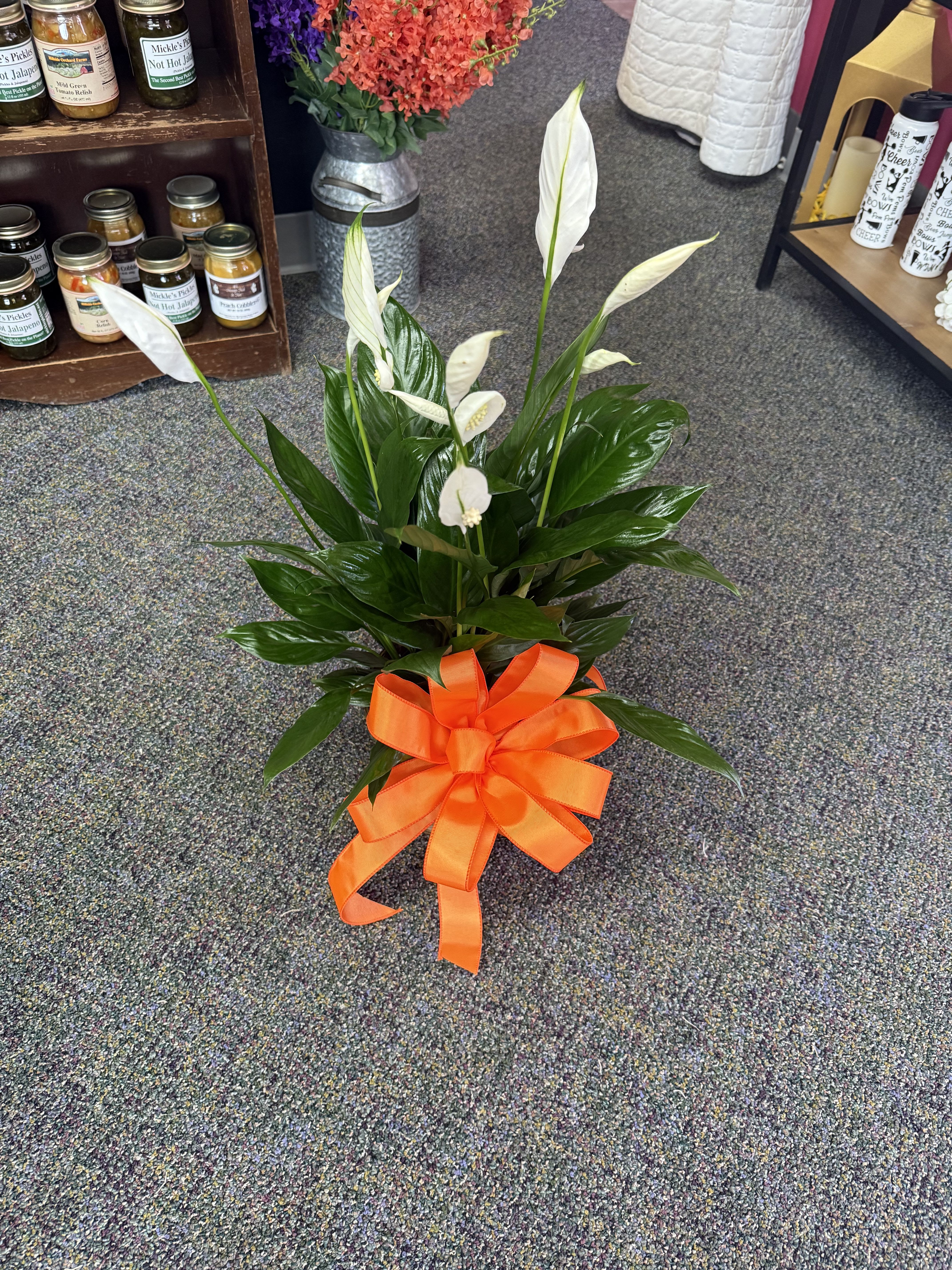 6” Peace Lily -- Green Plant - Our 6” Peace Lily is a classic gift that brings peace, comfort, and lasting beauty. With its deep green leaves and elegant white blooms, this plant is perfect for sympathy, get well, or just to brighten a space with a calming touch.  Each plant comes in a decorative container with a coordinating bow — and the bow color can be changed to fit the occasion or your personal preference.  Call To Customize Your Bow or Add a Special Touch (870) 352-0273