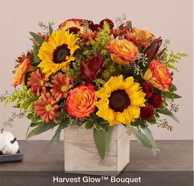 Harvest Glow Harvest Glow - Beautiful Fall Bqt