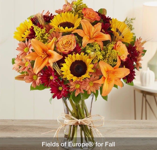 Fall Fall Fall Fall - Nice Flowers for Fall