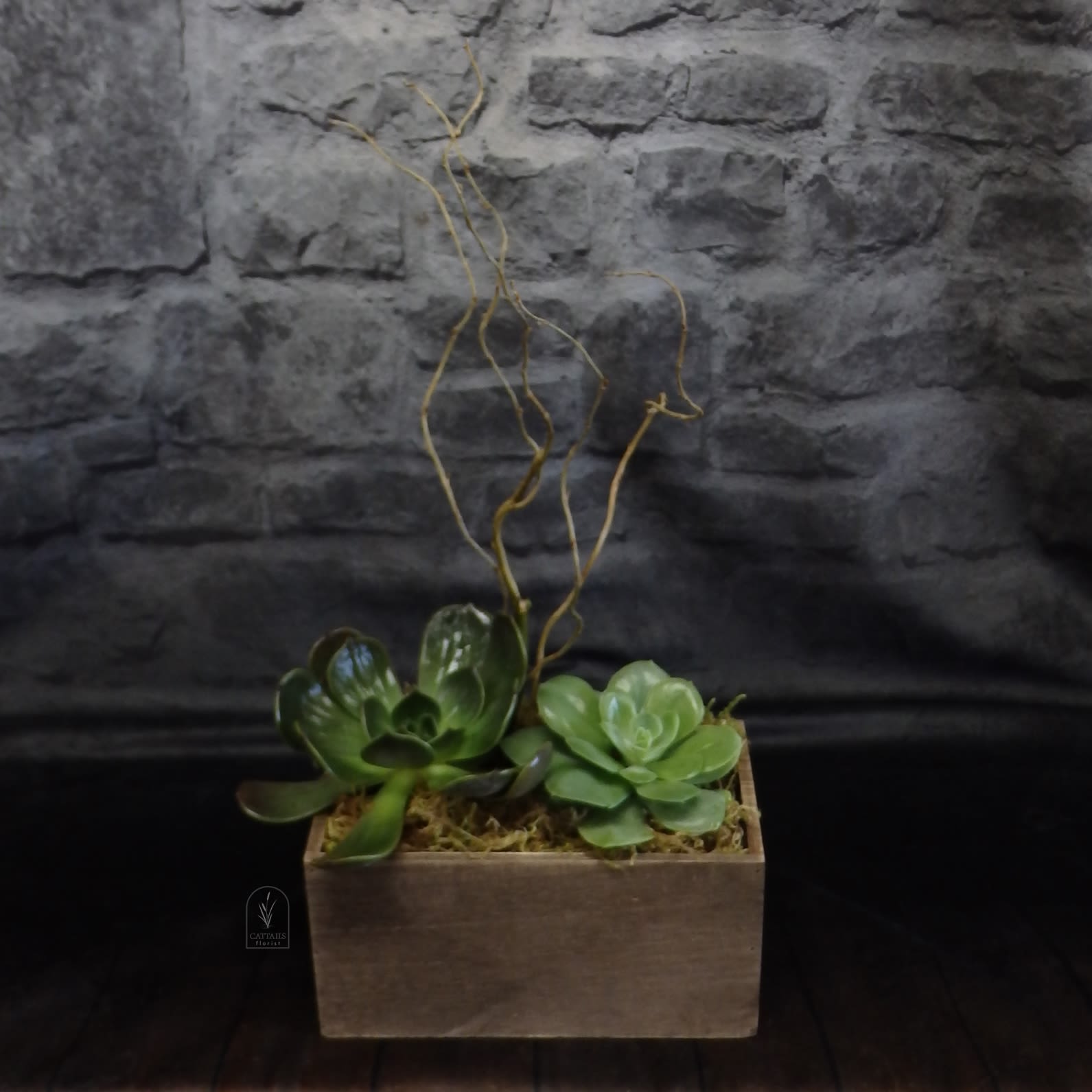 Sandpiper Sandpiper - “Sandpiper” is a natural and earthy design featuring lush green succulents nestled in a rustic wooden box, accented with curly willow for height and texture. Its simple elegance and organic charm evoke the calm beauty of a shoreline, making it a perfect piece for home or office décor.
