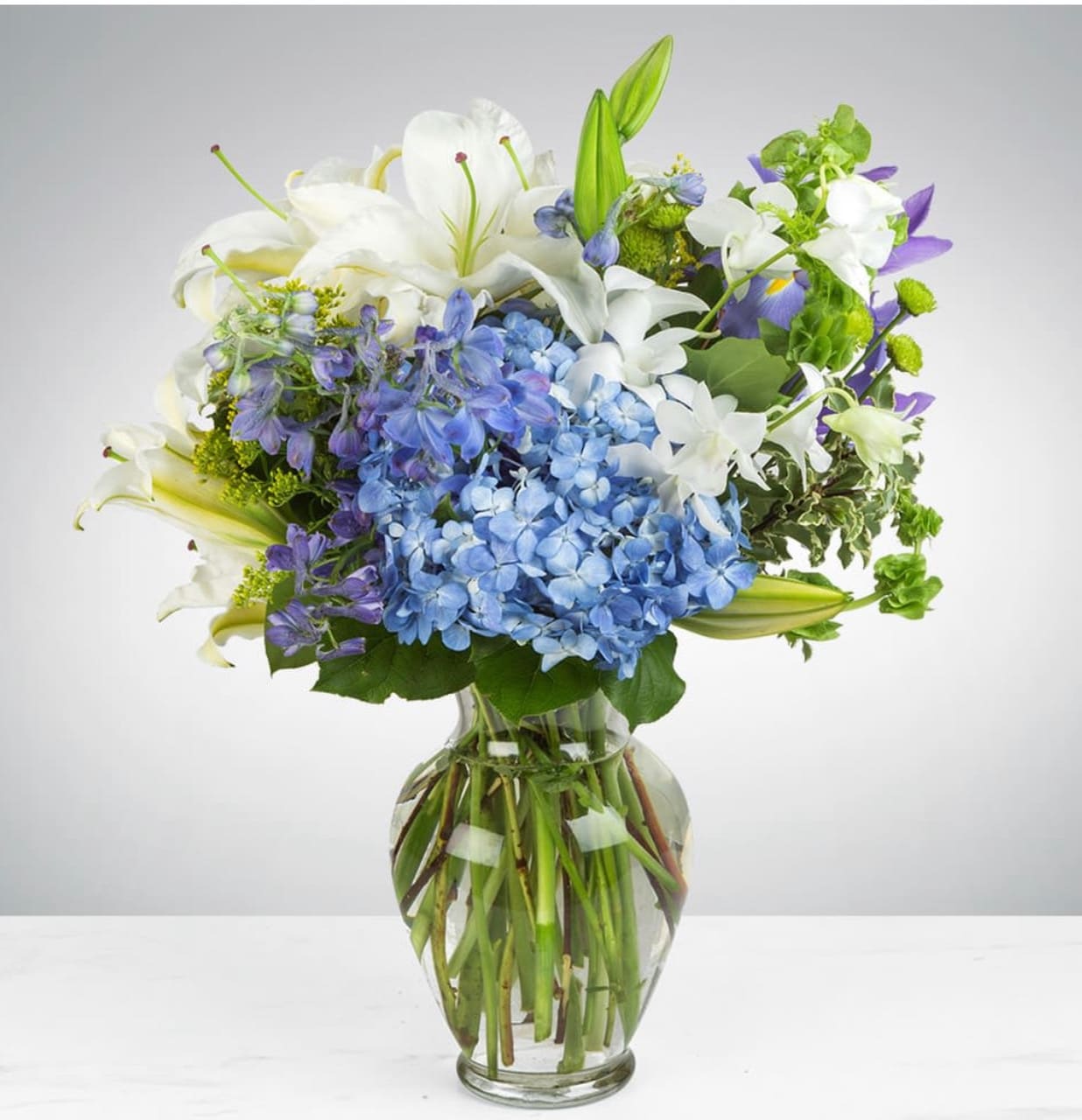 Breezy by the Sea - This arrangement contains delphinium, bells of ireland, asiatic lilies, hydrangea, iris, orchids, and other seasonal blooms.  APPROXIMATE DIMENSIONS: 15&quot; D x 18&quot; H