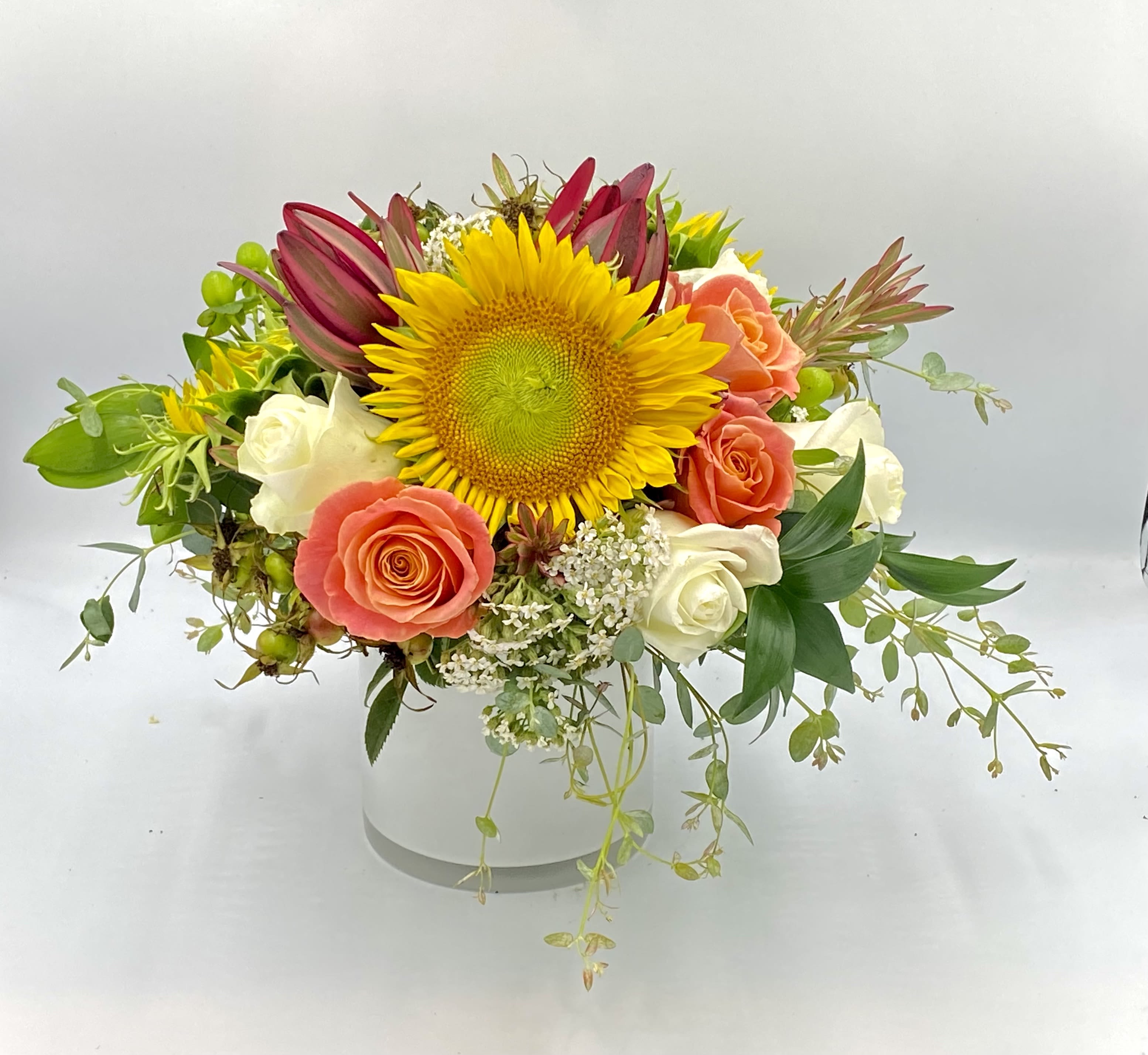 Early Autumn Sunshine - A great way to welcome in a new season, fresh start, back to school bliss... White glass filled with beautiful sunflower, coral roses, dalia, protea or honeypot ( that beautiful burnt red foliage) or similar. We add in some early autumn foliage and small florals like queen Anns lace and the result is pure magic!!   All 3x sizes come in white vases its so pretty!! Note- we may change up the type of sunflower (yellow on yellow, yellow black used on avails)  Standard= 5x5 size- flowers well exceed vase size.  Deluxe= 6x6 size vase- flowers well exceed vase size. Premium- a taller vase size= 10-12&quot; H x 4-5&quot; W  NOTE WE CAN GO LARGER AND DESIGN GORGEOUS FALL PIECES WITH BRANCHES ETC. PLEASE CONTACT THE STUDIO. 