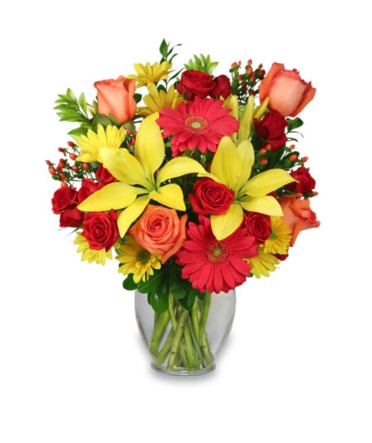Bring on the Happy By FSN Bring on the Happy By FSN - Hot pink Gerberas, red miniature Spray Roses, coral Roses, yellow Daisy poms, red Hypericum, yellow Lilies, pittosporum, myrtle.