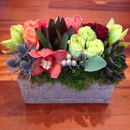 Fall Zest Fall Zest - This arrangement comes stocked with orchids, protea, orange, red and green roses, and thistle in a mossed cement container. We are a local florist in Wilmington, Delaware that delivers fresh flowers on the same day for delivery near you. Our flower shop services the Wilmington and Newark Delaware areas. We are a flower shop near you that is tax free and provides hand delivered flowers. We offer sympathy flowers and are a full service florist that offers online flowers and fresh flower arrangements. You can send flowers from our flower shop to Wilmington, New Castle, Newark, Hockessin, Chadds Ford, Kennett Square and other local cities near us.