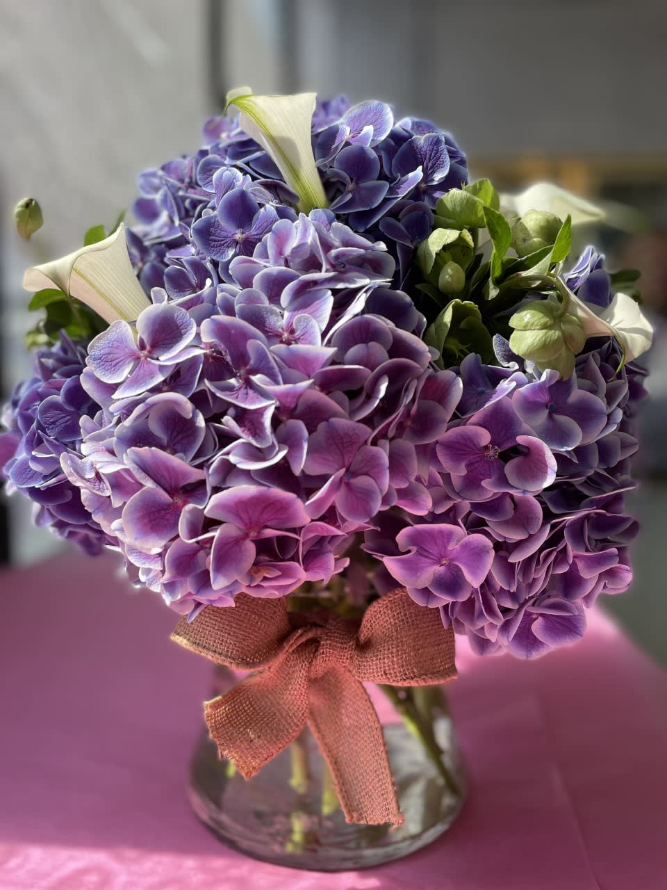 Ocean Blue - This special arrangement is made from the finest Dutch Bi-Colored Hydrangea, accented with White Callas and hellebores. - Standing about 16 inches tall and 14 inches wide