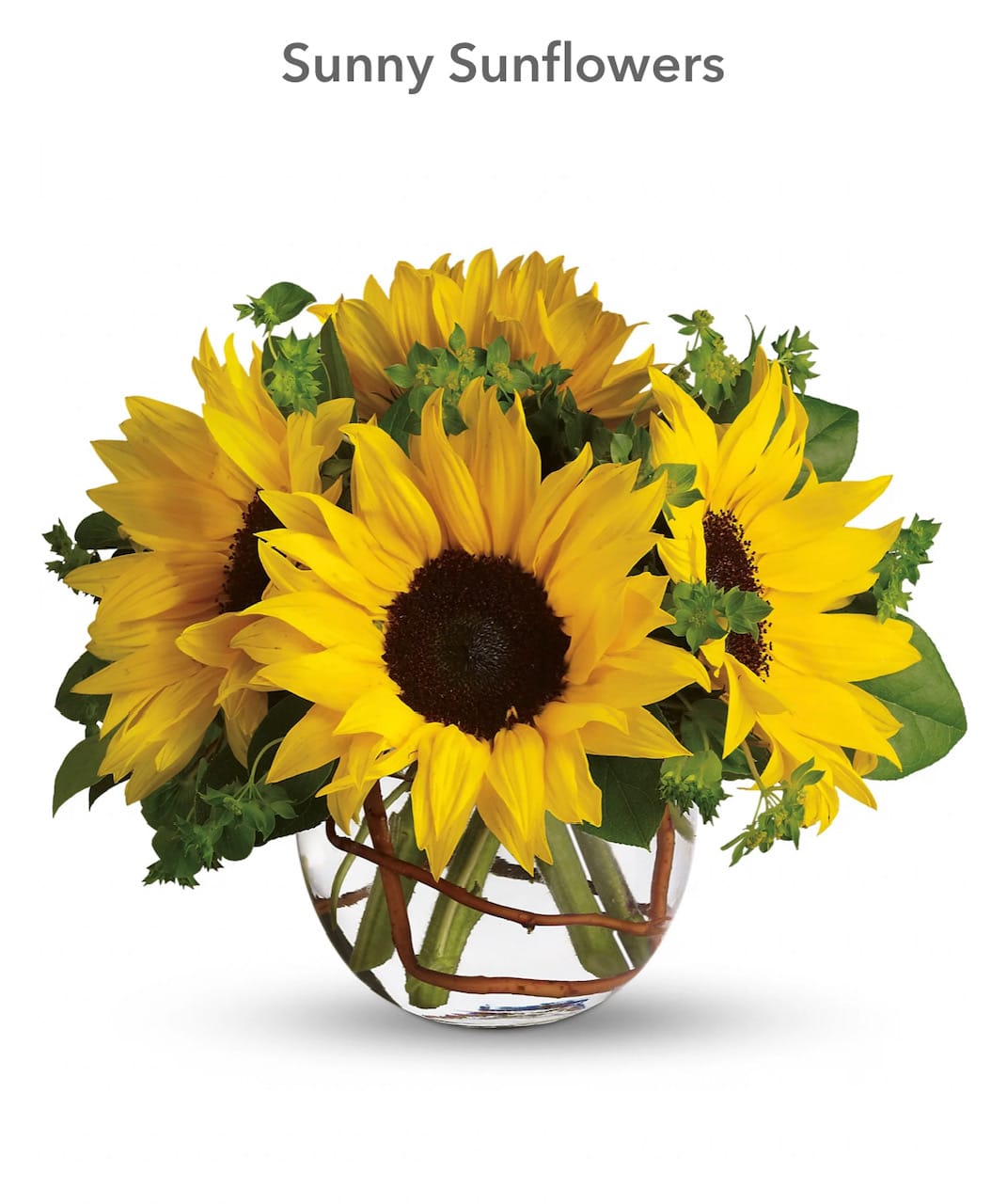 Sunny Sunflowers - Whoever receives this stunning bouquet is sure to be bowled over by its bold beauty! It's big on fun and big on flowers.  Sunflowers steal the show in this simple arrangement. Also featured: green bupleurum, salal leaves and a curly willow inside the glass bubble bowl.  Approximately 12&quot; W x 10&quot; H  Orientation: All-Around  As Shown : T152-2A Deluxe : T152-2B Premium : T152-2C