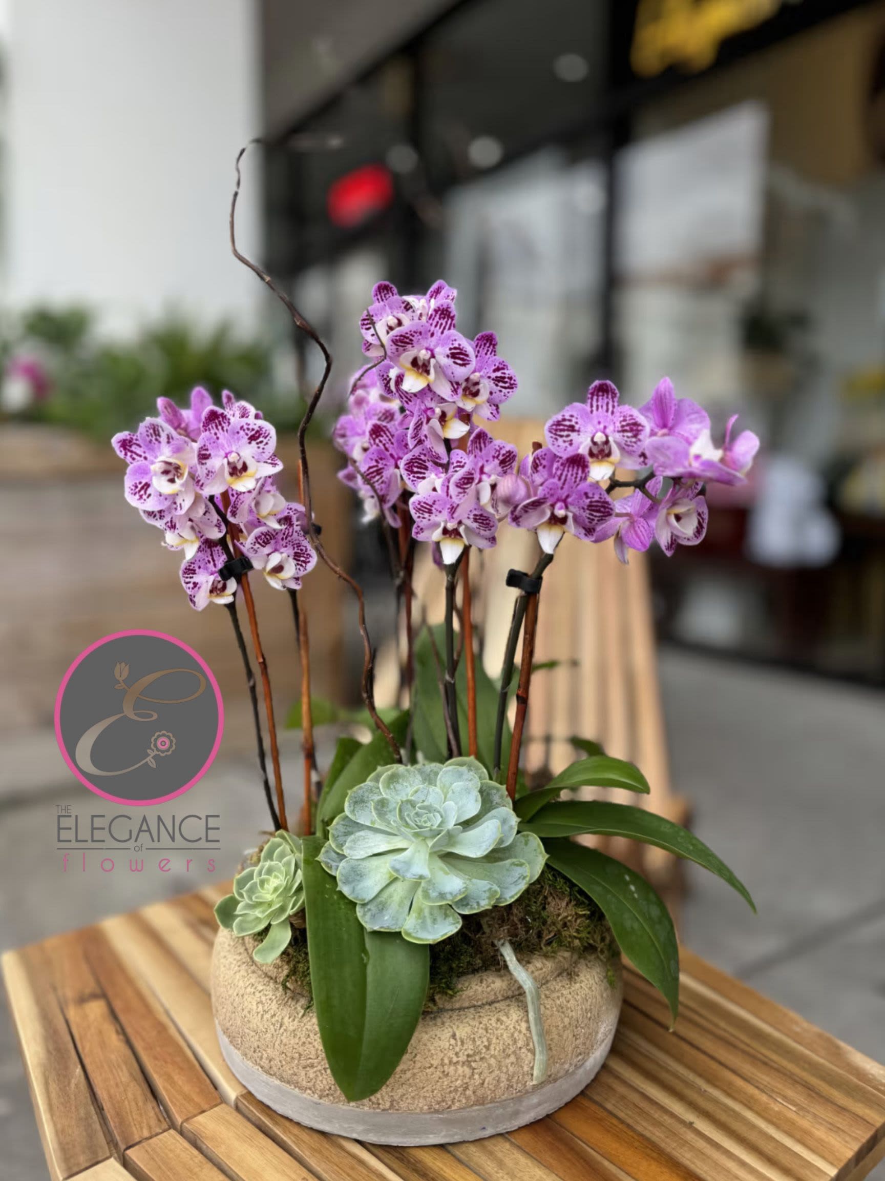 Mini Orchid Arrangement #8 Mini Orchid Arrangement #8 - Custom orchid arrangements feature the exotic beauty and elegance of orchids, tailored to your unique preferences. These striking blooms, known for their sophisticated appearance, can be arranged in various styles to suit any occasion or space.