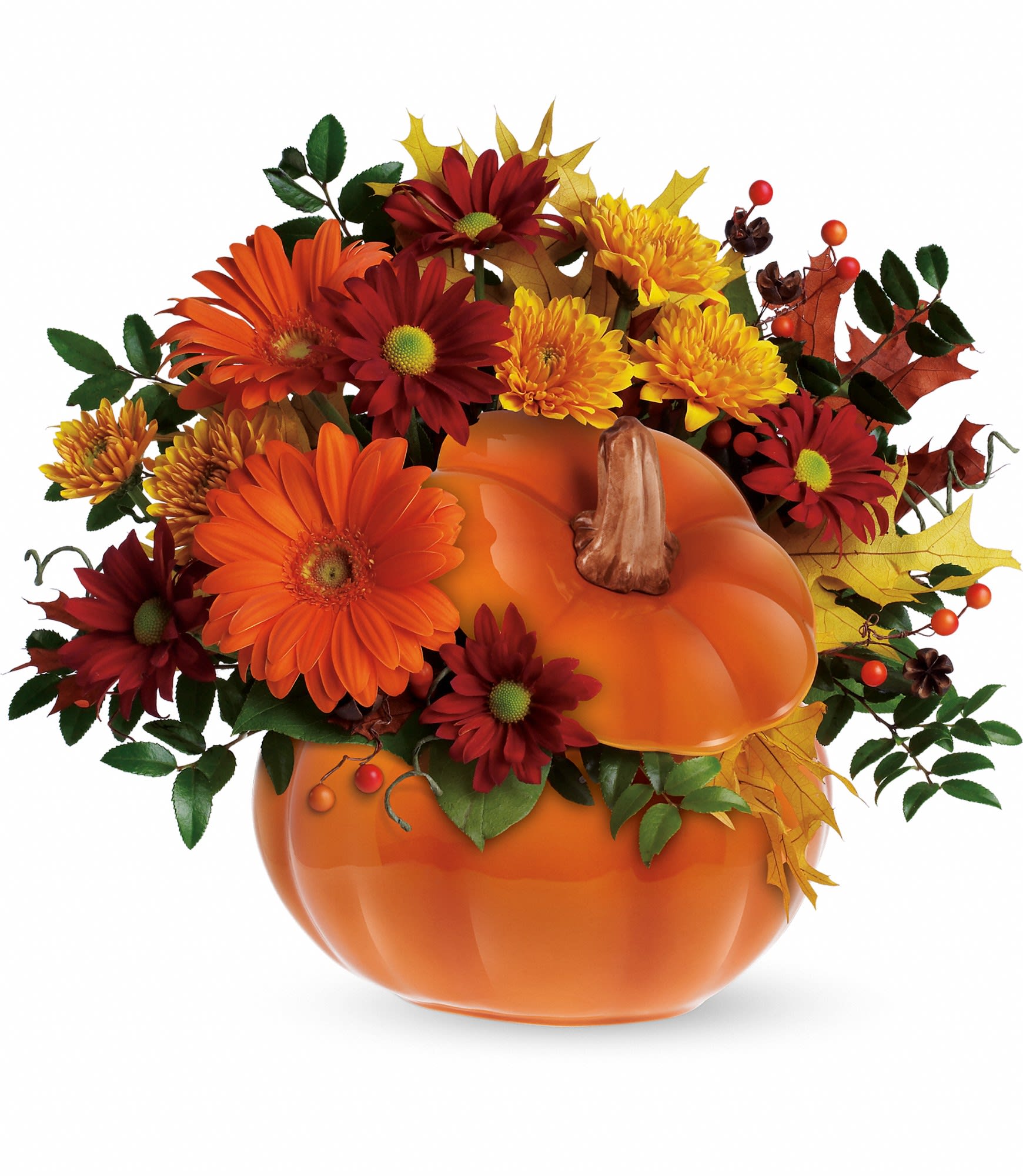 Country Pumpkin - Bright and light orange gerberas, bronze cushion spray chrysanthemums, red daisy spray chrysanthemums, huckleberry, yellow oak leaves and more fill a hand-painted ceramic pumpkin that can be used over and over again. In fact, this pretty pumpkin is destined to carve out a special place in someone's home for years to come! Approximately 13 1/2&quot; W x 12&quot; H. 