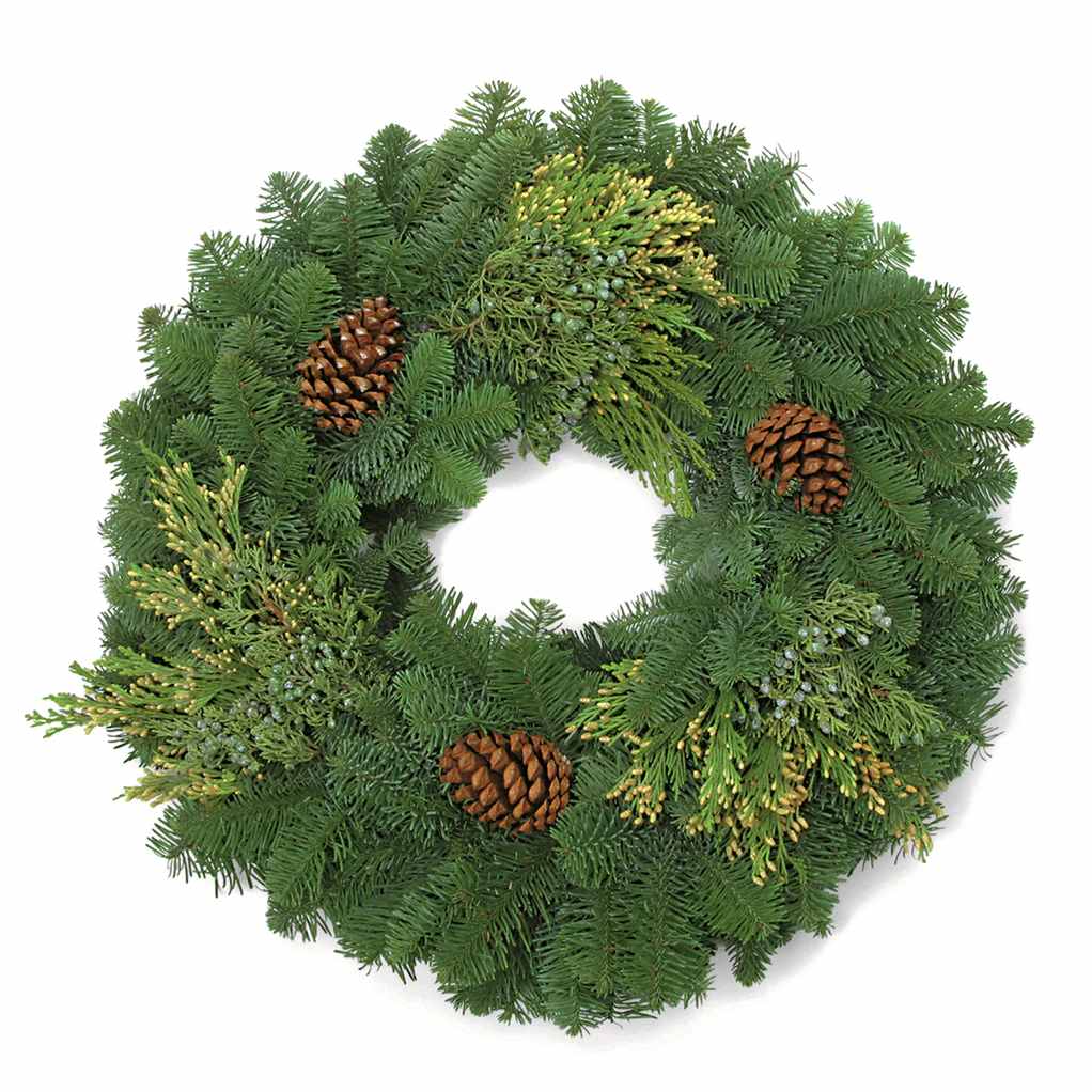 48&quot; Mixed Green Wreath (48&quot; Overall, 30&quot; Ring) 4 Feet!!!-PRE-ORDER - Surprise and delight your clients or family members this Holiday with our exquisite 48-inch Holiday Wreath.   The addition of red berries and ribbons not only elevates the festive spirit but also makes for a thoughtful and timeless gift, spreading joy and warmth during the Holiday Season!  Standard: A festive 48-inch wreath adorned with a mix of lush greenery, including various evergreen branches, accented with charming pinecones for a delightful holiday touch.  Premium:Enhance the 48-inch holiday wreath with a tasteful upgrade featuring vibrant red berries and elegant ribbons, creating a joyful and visually appealing arrangement, available for an additional cost. 