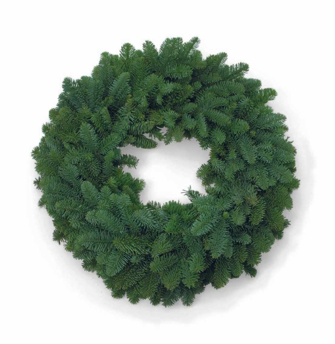  Noble Fir Wreath 30&quot; - Introducing our Noble Fir Wreath collection, available in three sizes: 18 inches, 30 inches, and 34 inches. Crafted with precision, these wreaths feature lush Noble Fir greenery, creating a visually appealing and aromatic holiday decoration. The 18-inch wreath has a 10-inch ring at its core, 30”-16” ring and 34”-20” ring, ensuring a well-proportioned and festive addition to your seasonal decor. Upgrade your holiday decor with our premium Noble Fir Wreath collection, now available with opulent additions. Each wreath, in 18-inch, 30-inch, and 34-inch sizes, comes adorned with vibrant berries, tasteful ribbons, and charming pinecones. This deluxe option adds a touch of sophistication and festive flair to your space, making it an exquisite centerpiece for your seasonal celebrations.