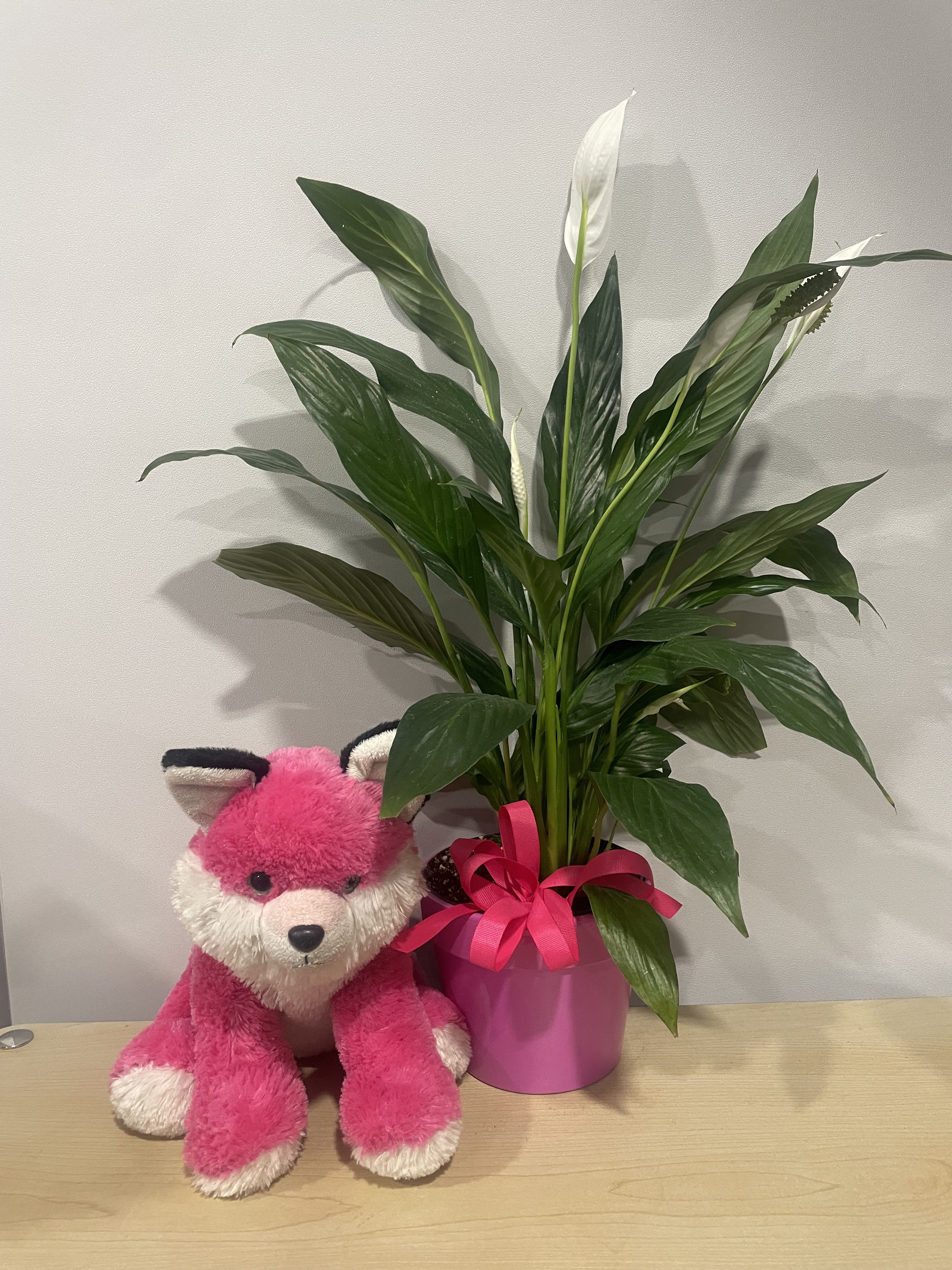 Foxy Pink Planter Foxy Pink Planter - As shown
