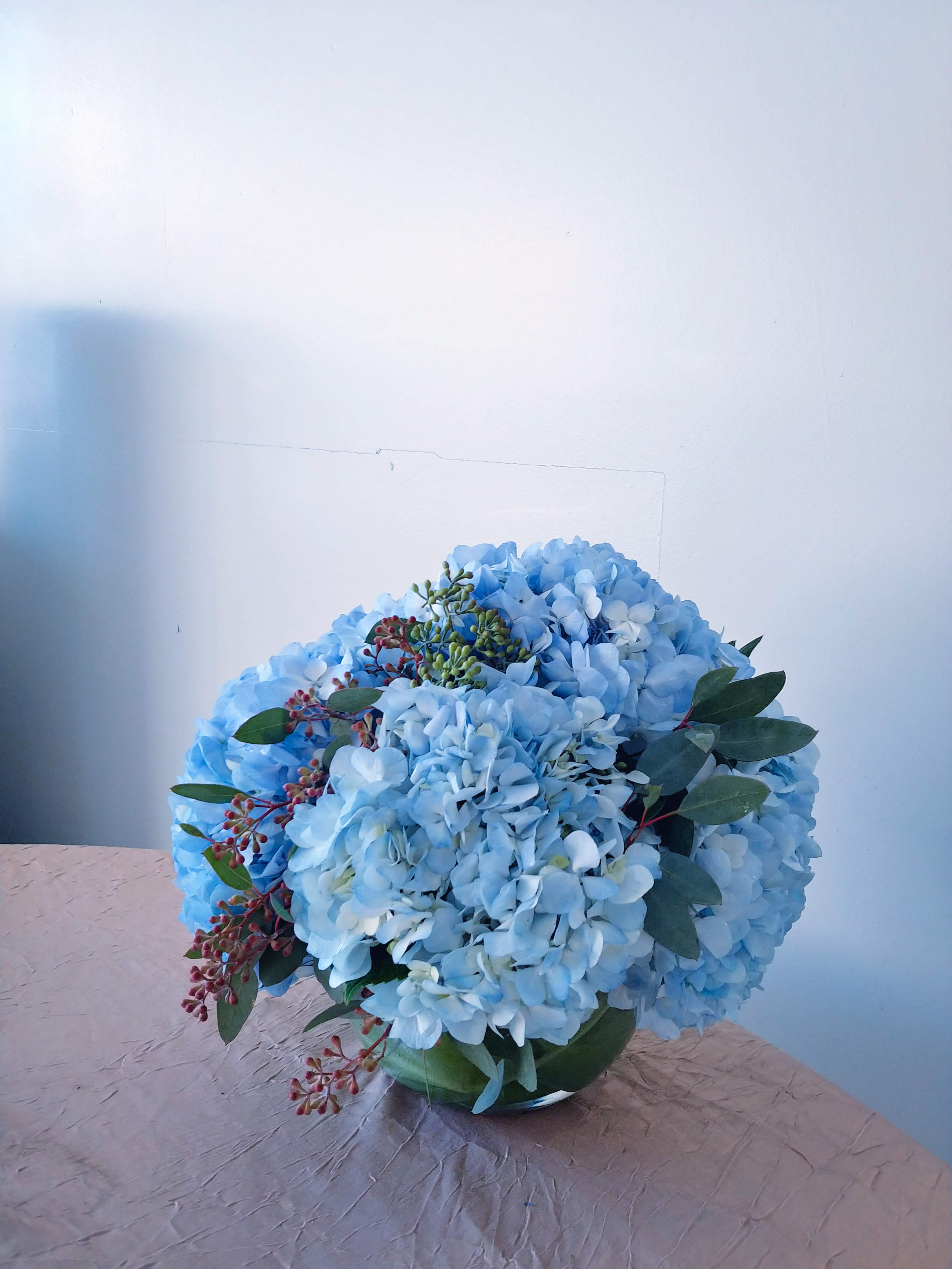 Blue Hue - Beautiful 8 in bowl of fresh blue hydrangea , touches of blue thistle and eucalyptus 