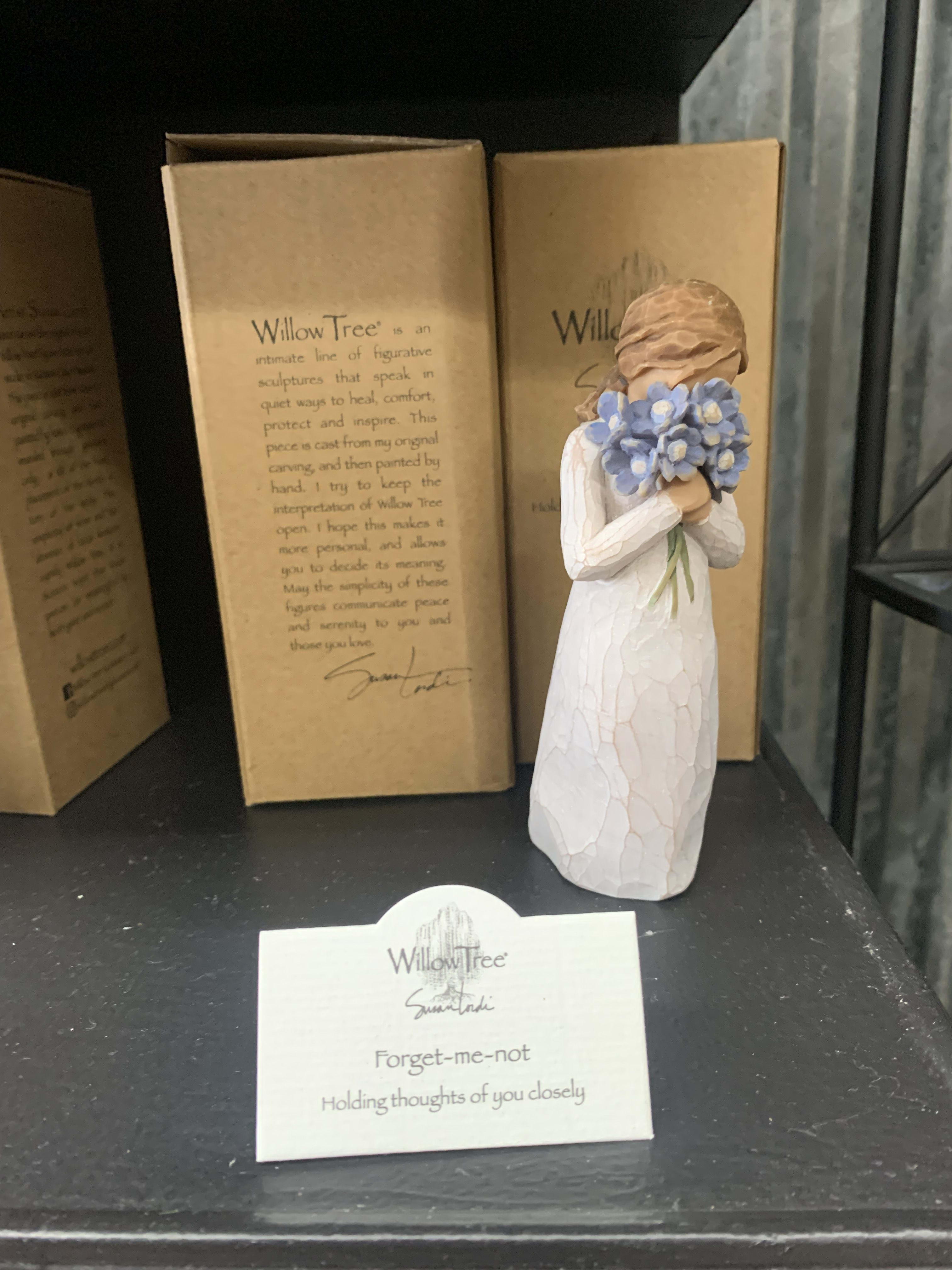 Forget me not willow Forget me not willow - Forget me not willow tree