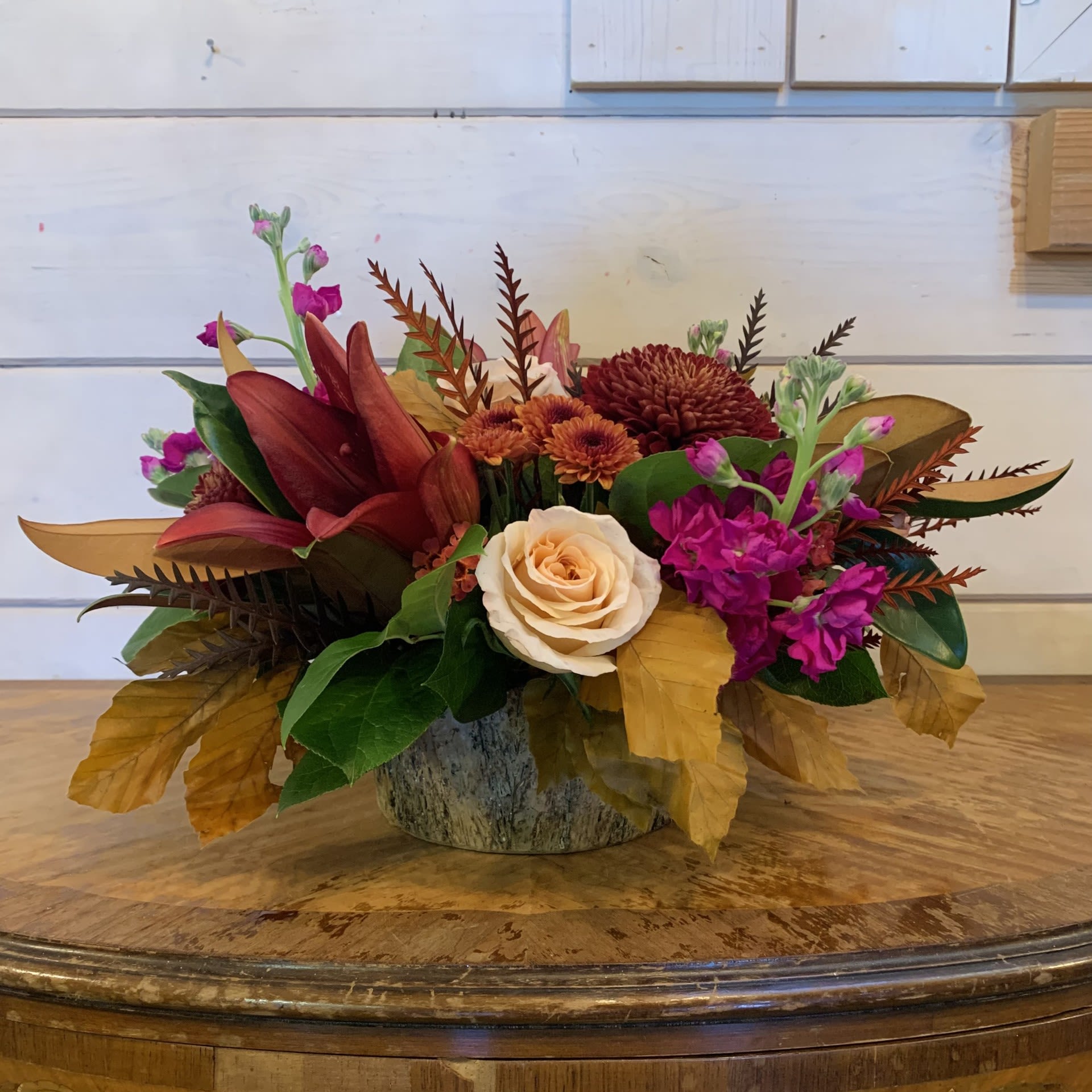 A Rustic Autumn Centerpiece A Rustic Autumn Centerpiece - Pale peach roses and burgundy lilies with magenta stock, burgundy fall cremons, and fall chrysanthemums arranged in a round low bark pot with sprigs of magnolia leaves, gravelia, and other fall foliage. Approximately 11" tall and 14" wide. Please note this arrangement is made in floral foam and so will last 4-5 days with daily watering.